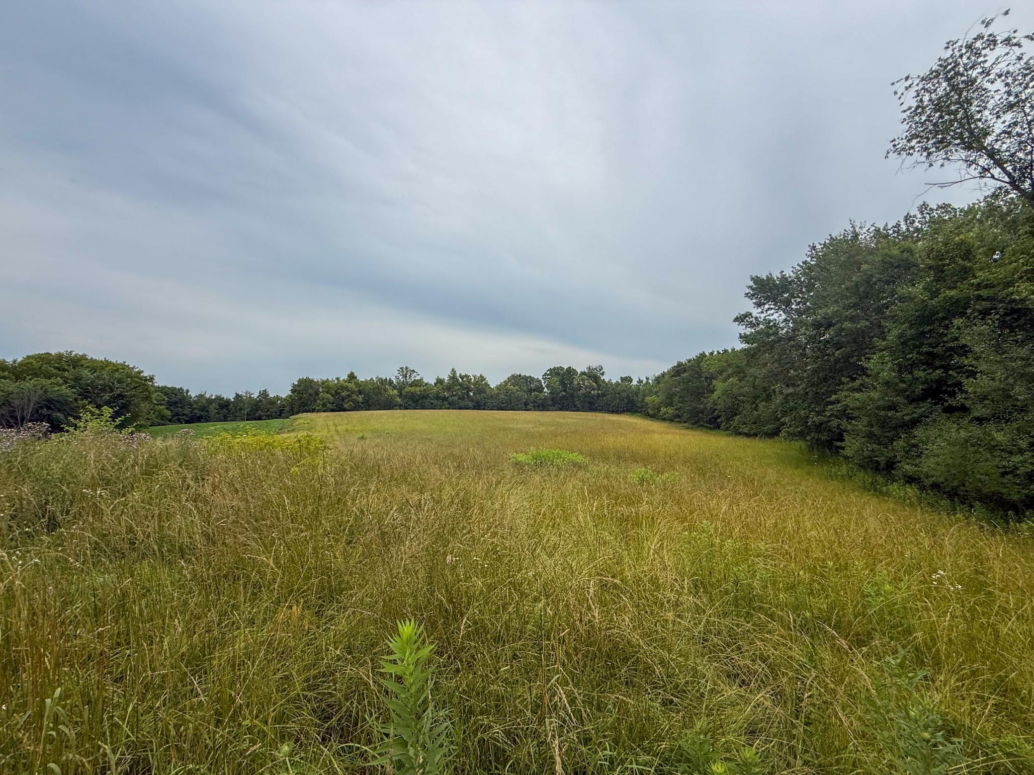 main property photo 62