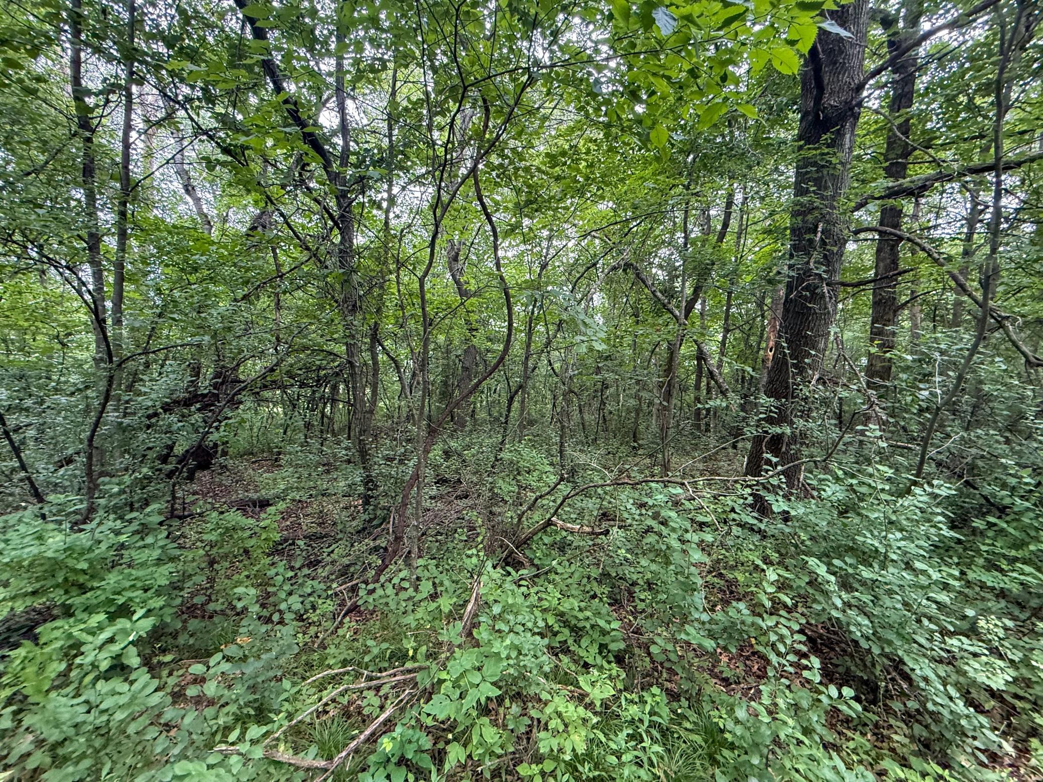 main property photo 63