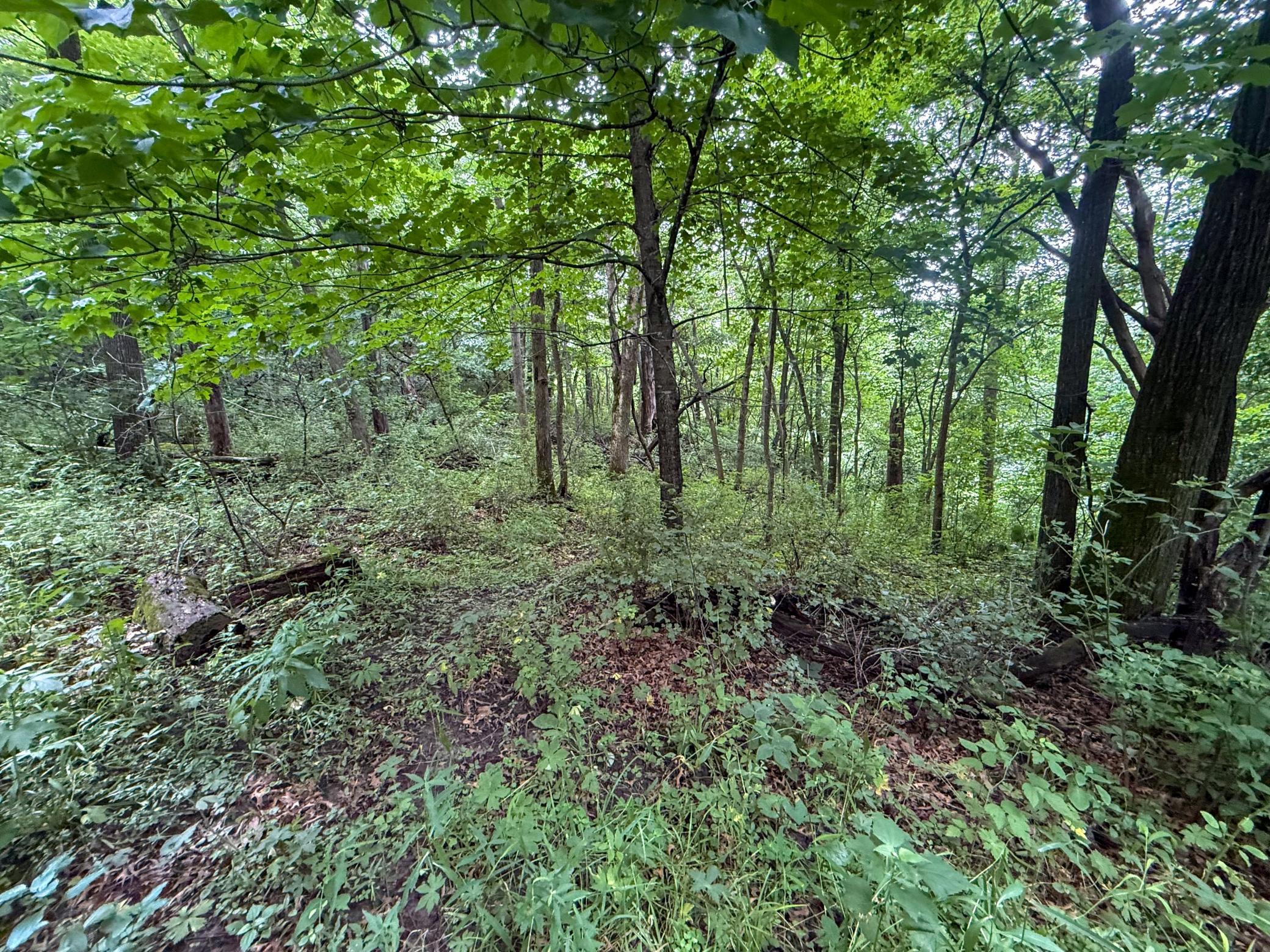 main property photo 64