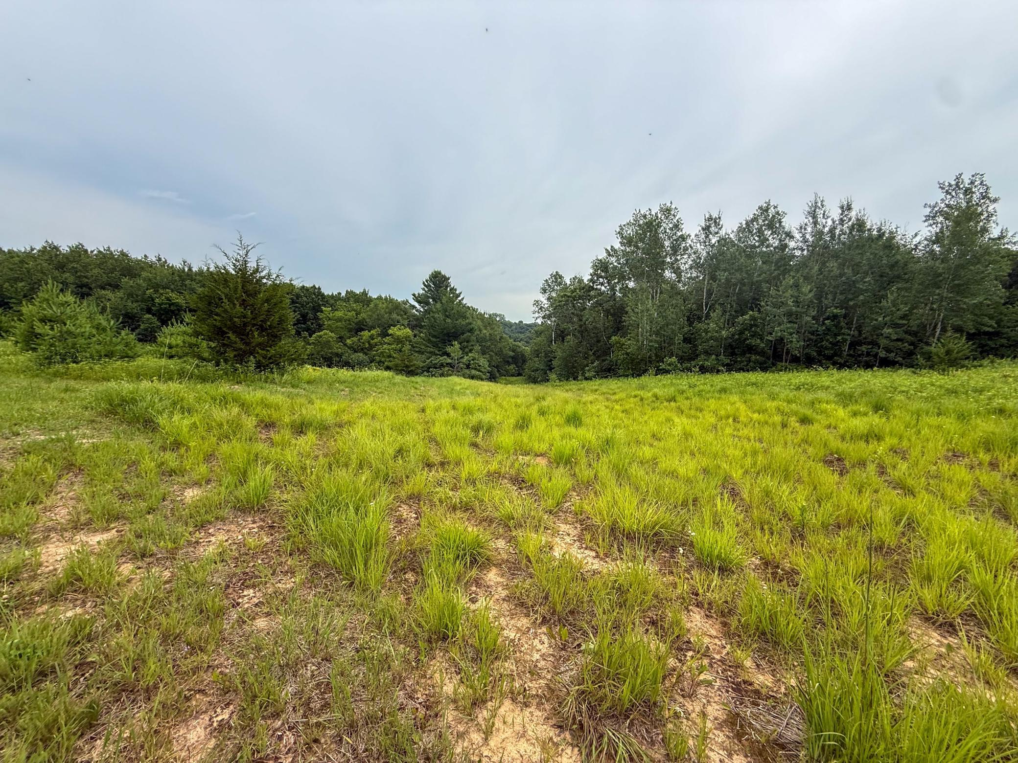 main property photo 66