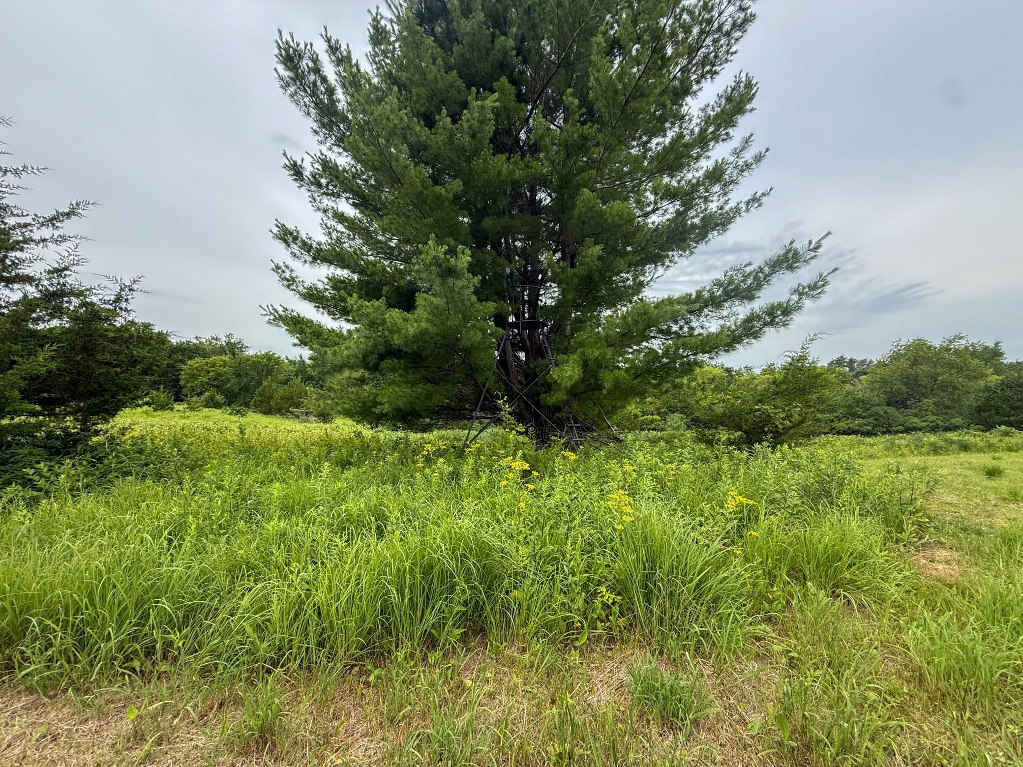 main property photo 67