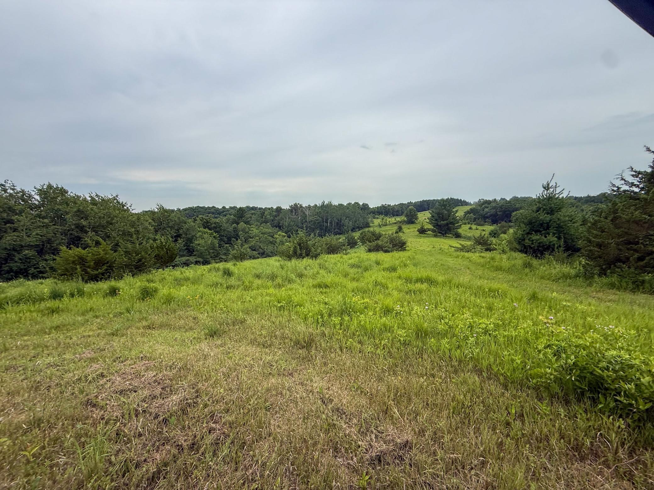 main property photo 69