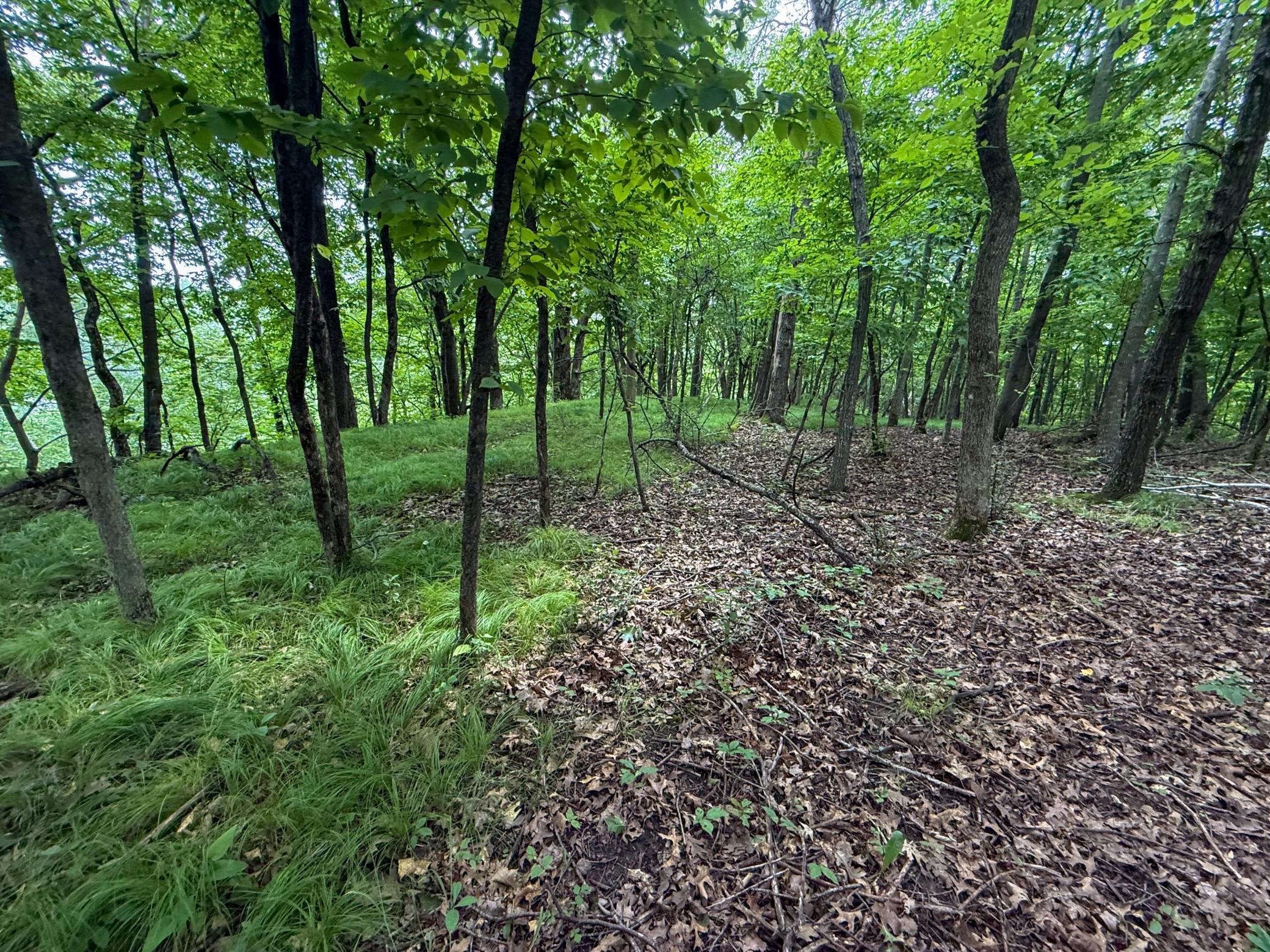 main property photo 70