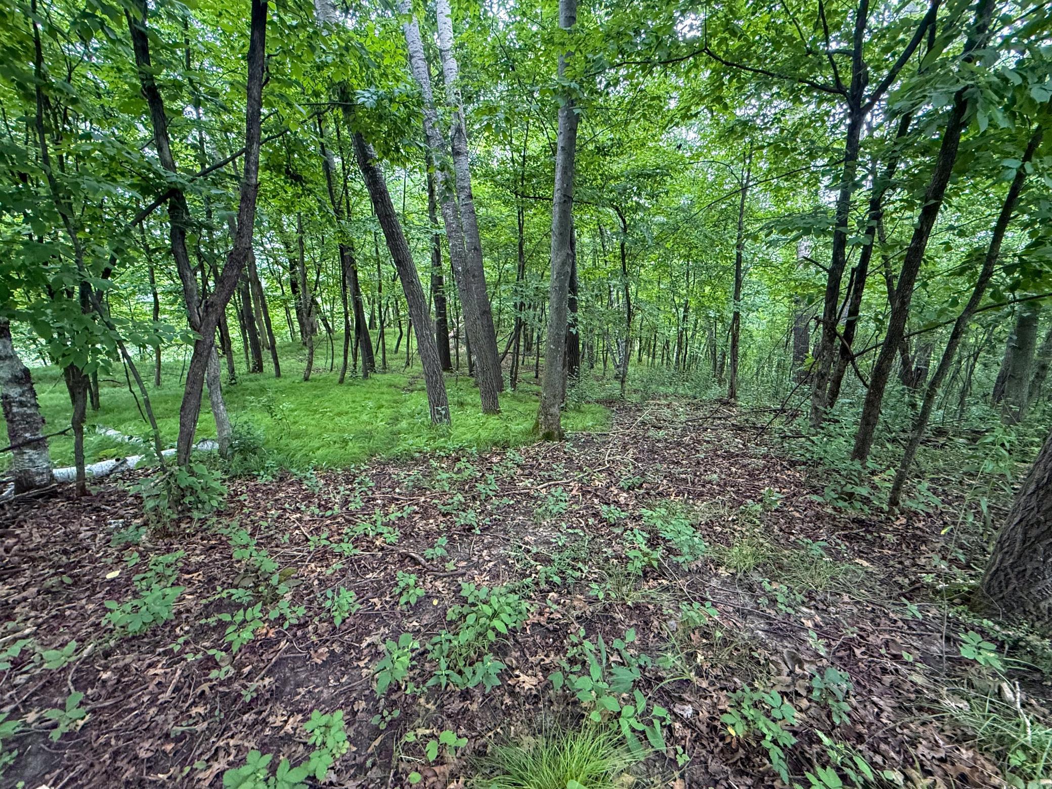 main property photo 72