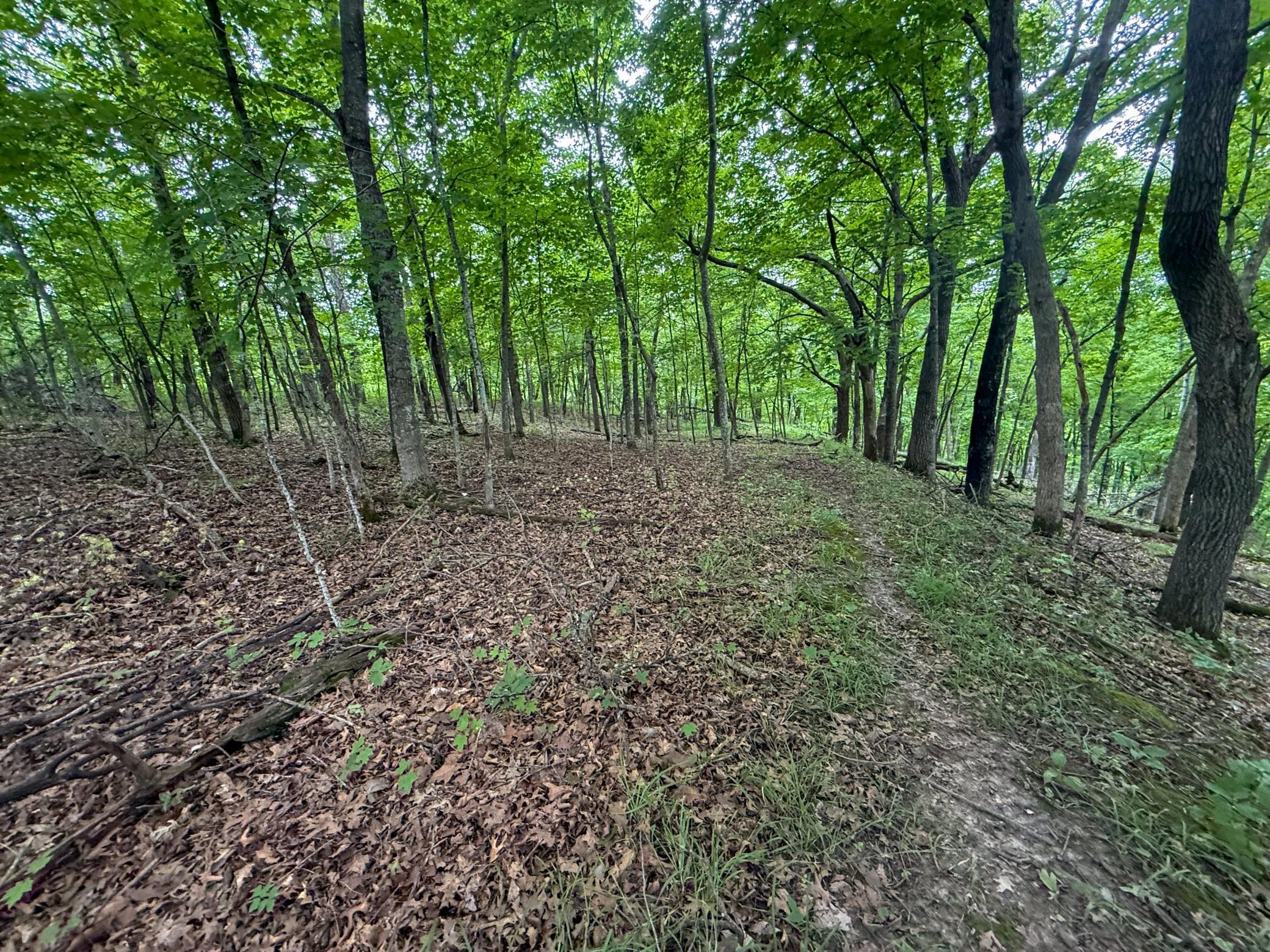 main property photo 74
