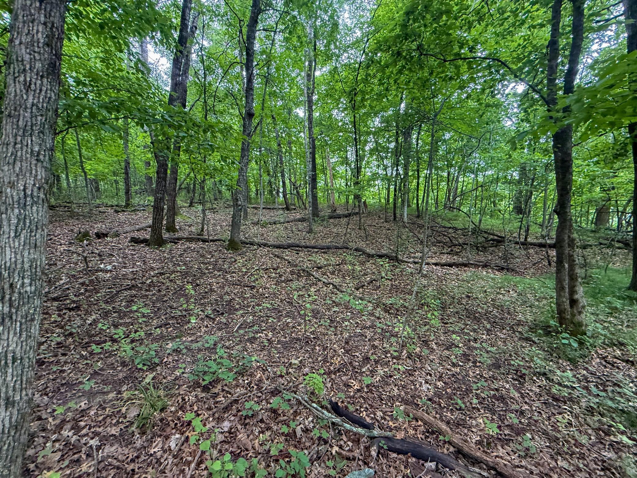 main property photo 75