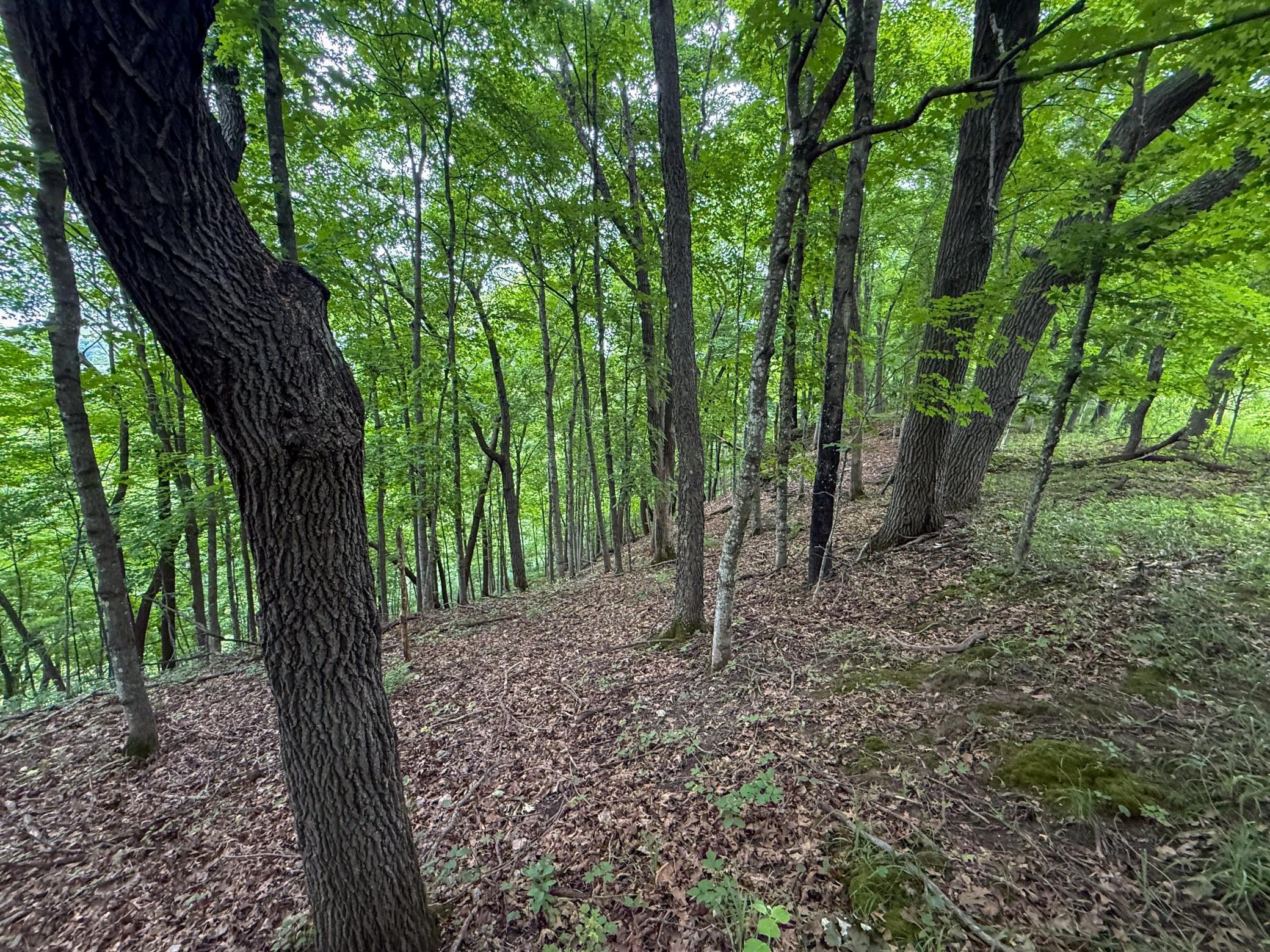 main property photo 76