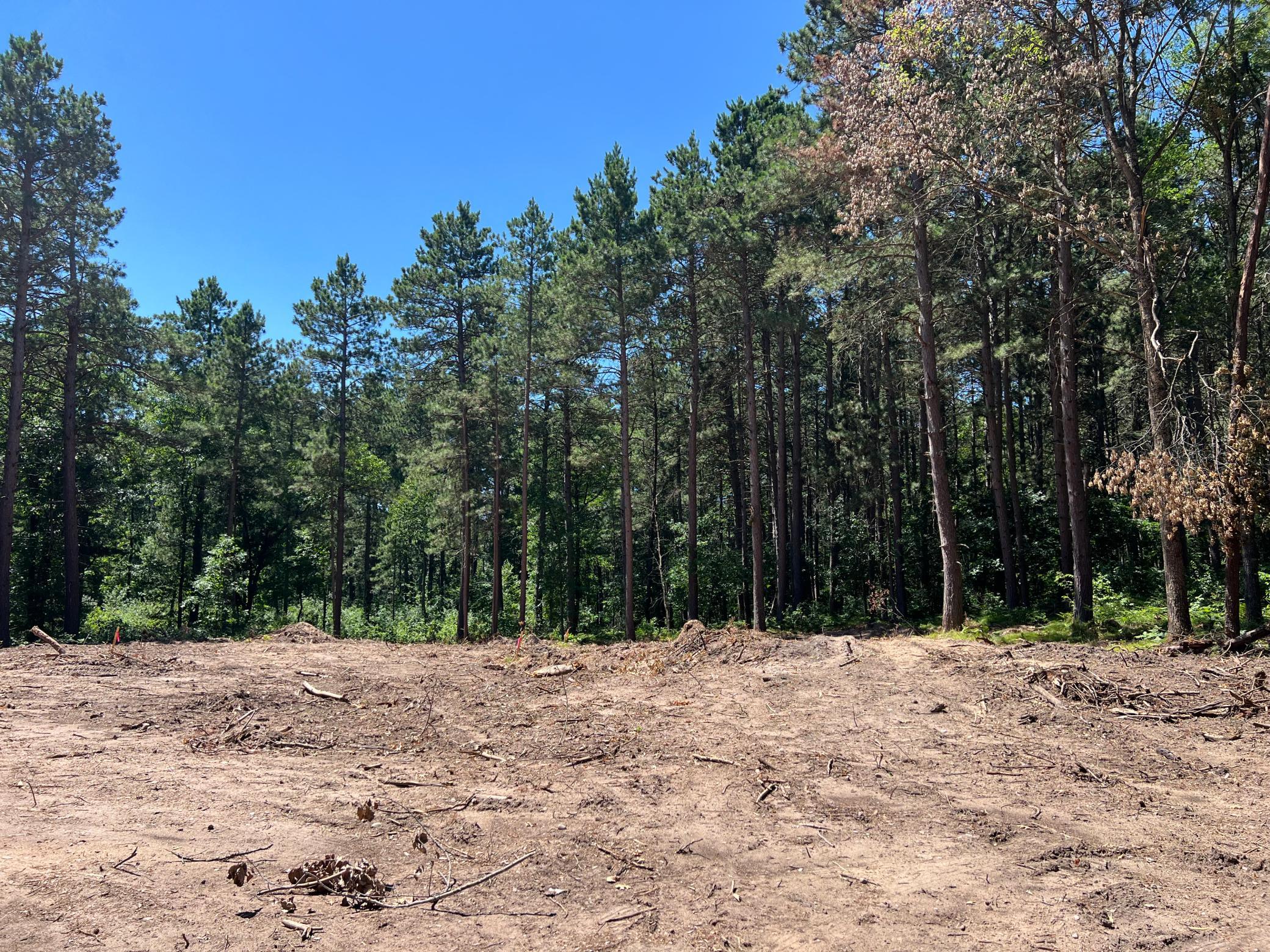 main property photo 49