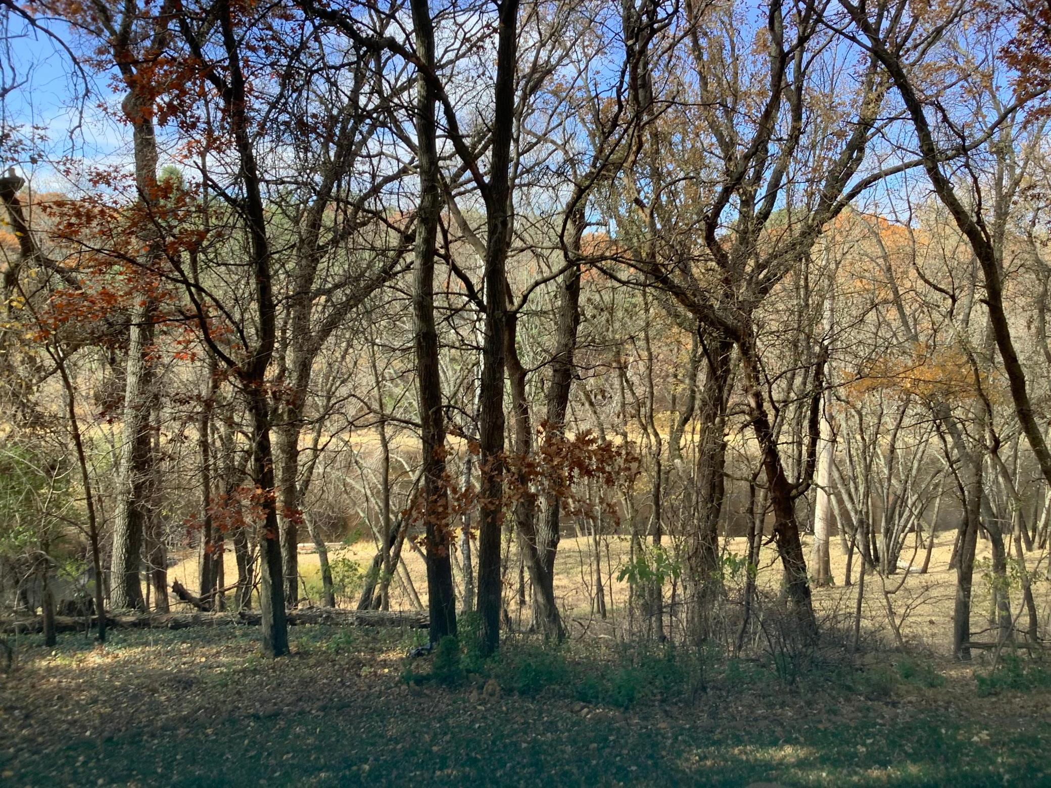 main property photo 6
