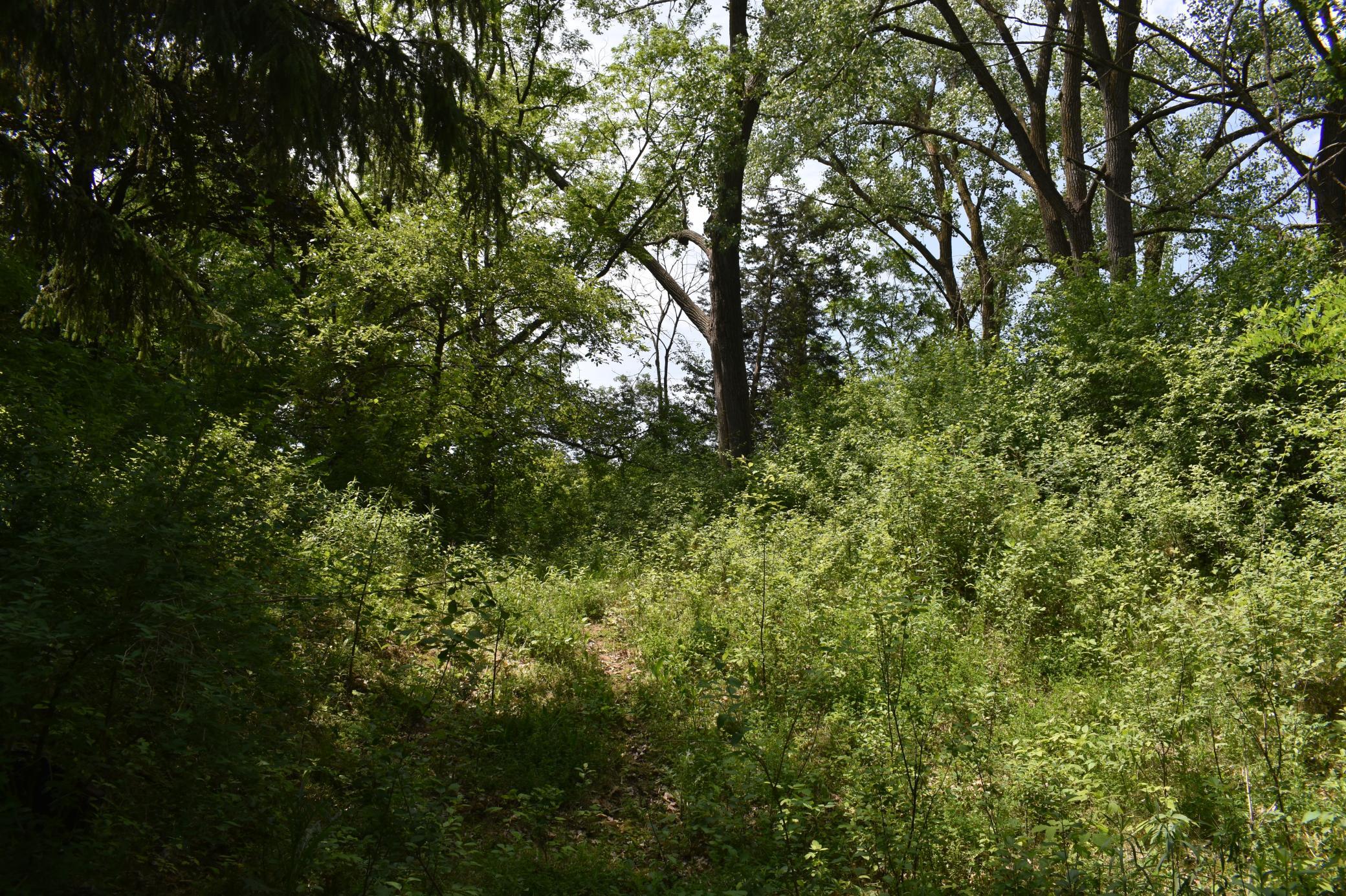 main property photo 9