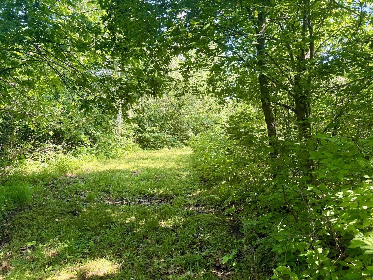 main property photo 11