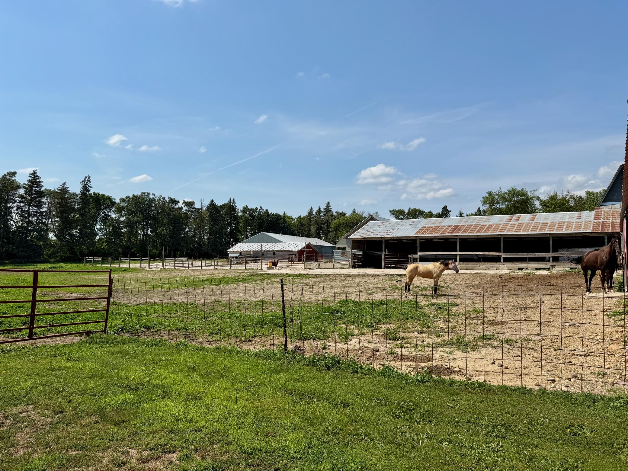 main property photo 65