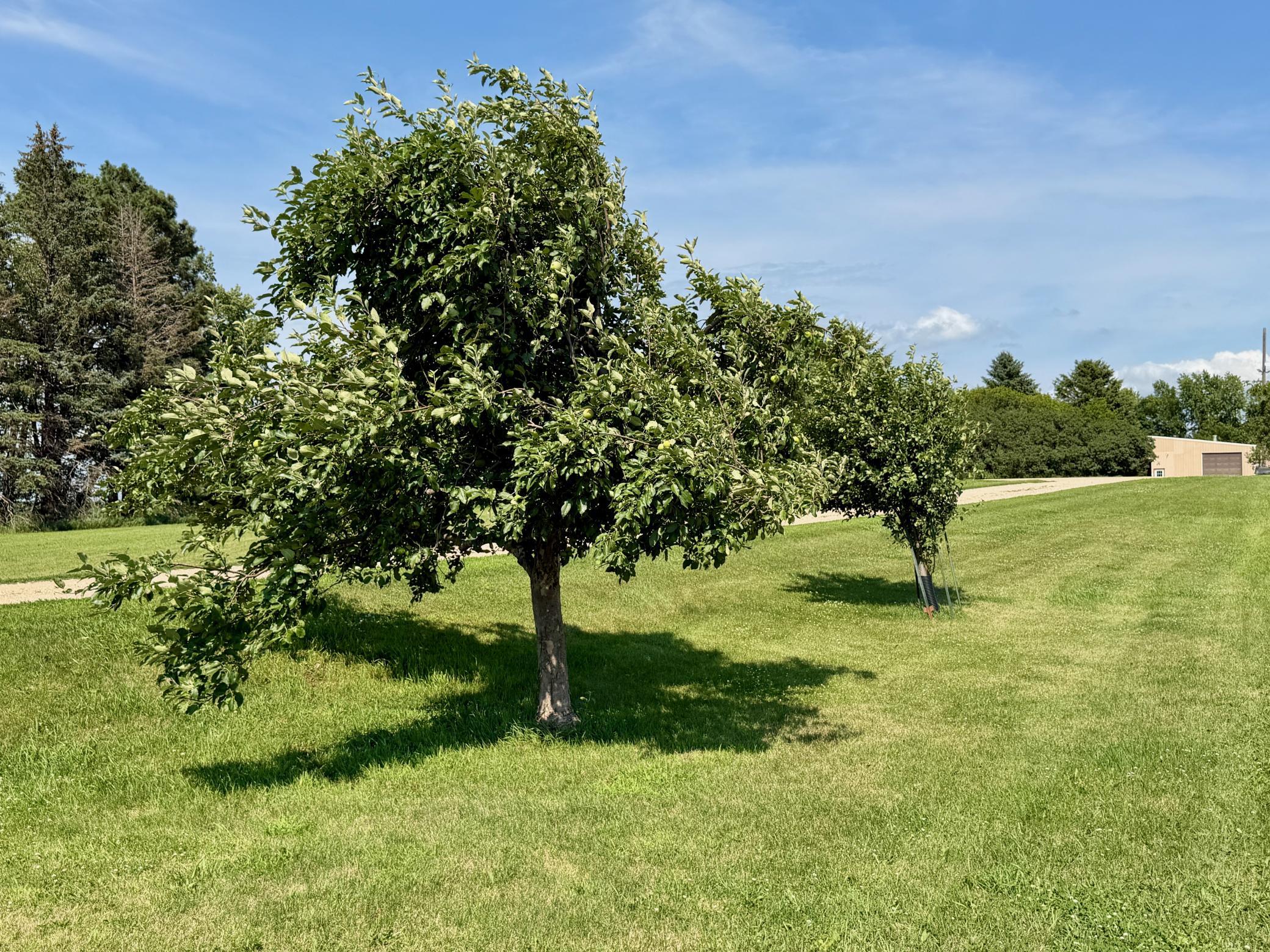 main property photo 70