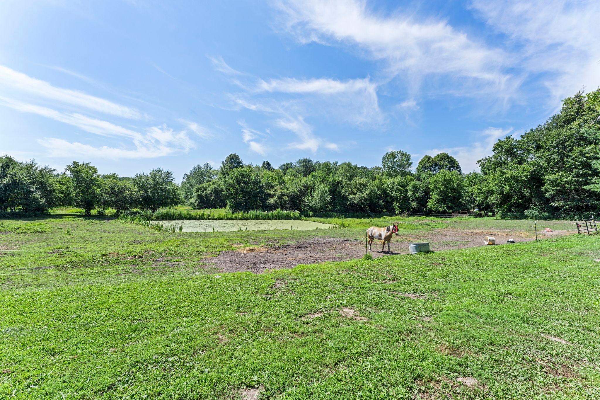 main property photo 48