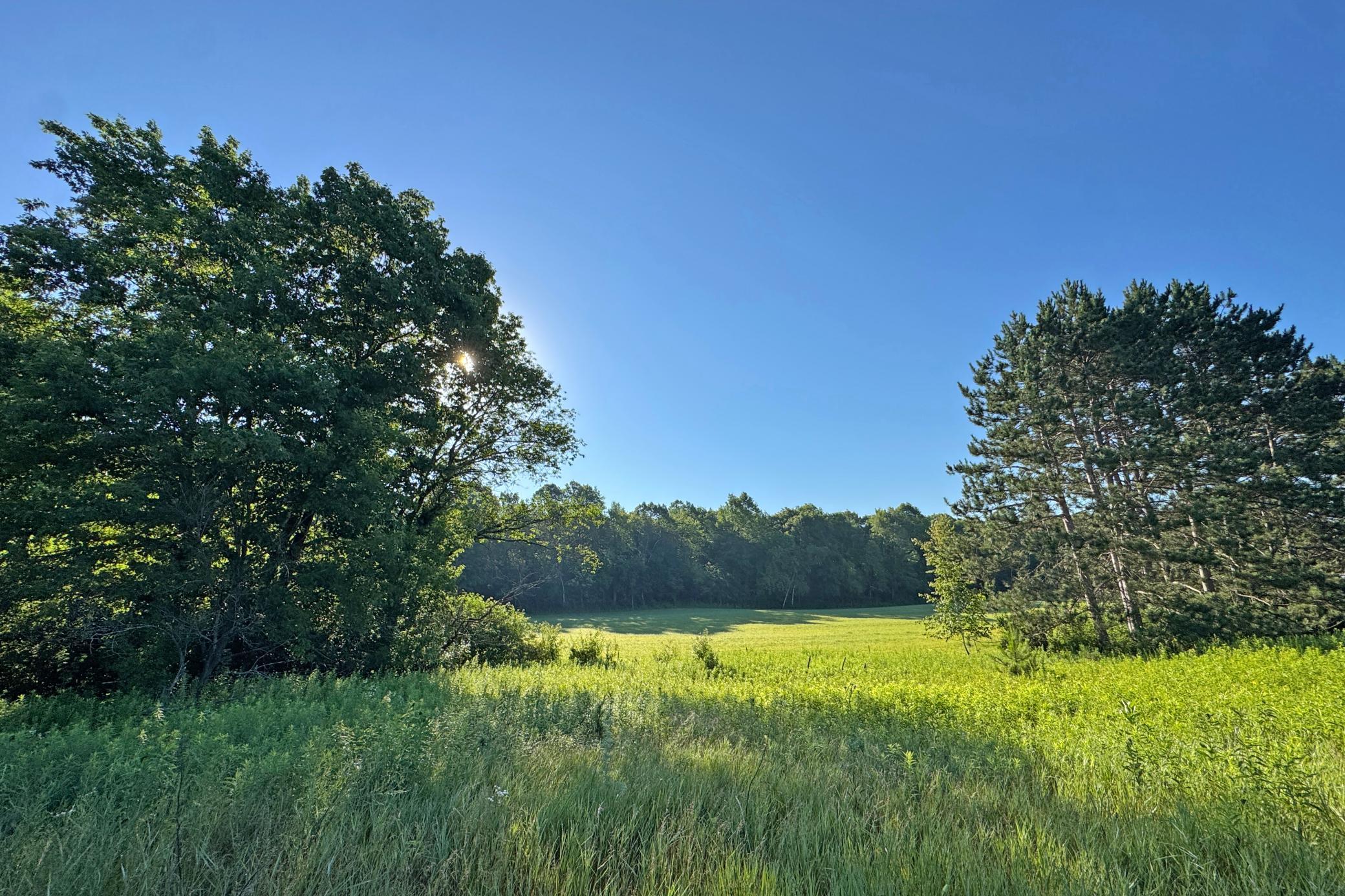 main property photo 52
