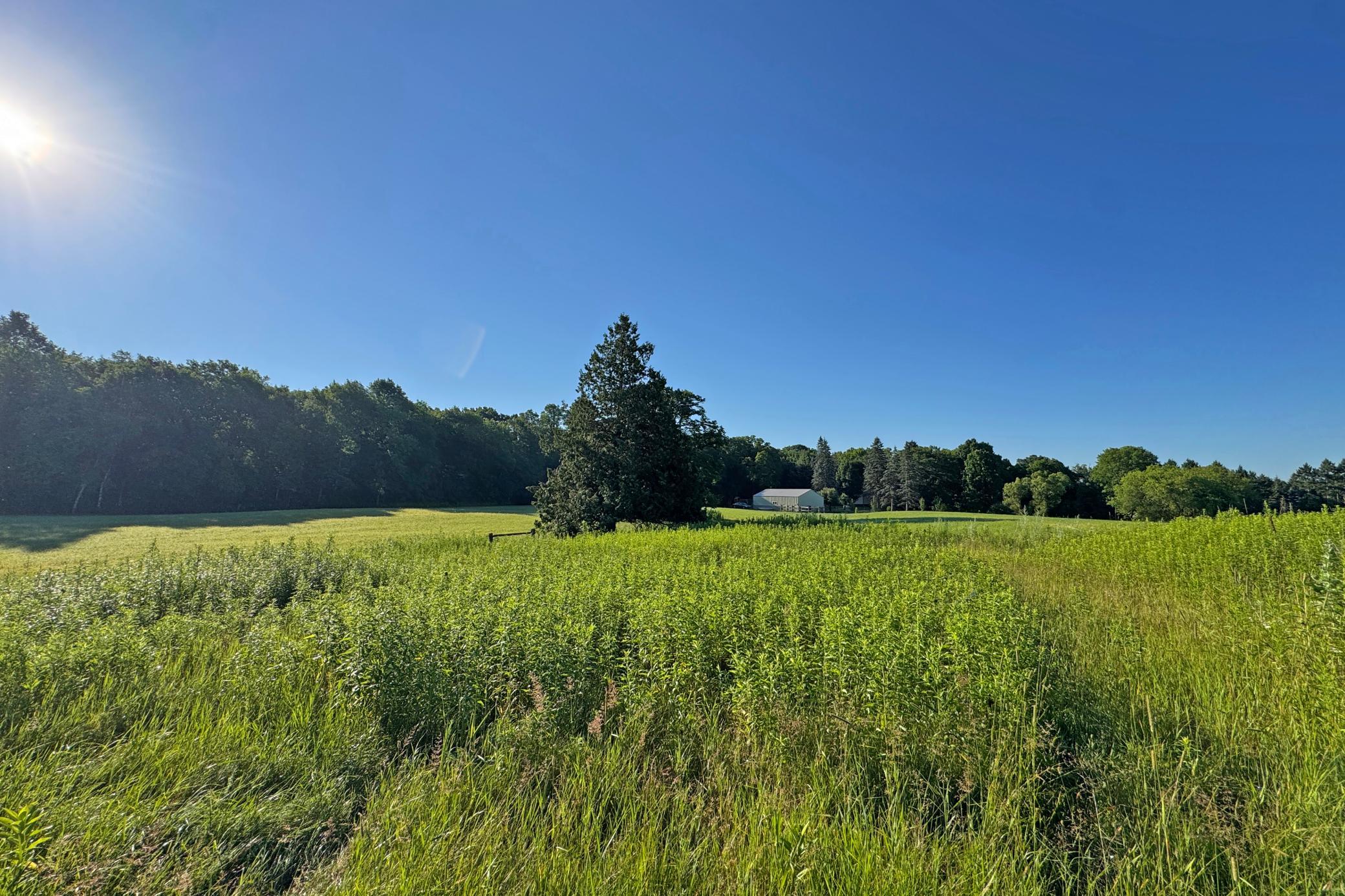 main property photo 53