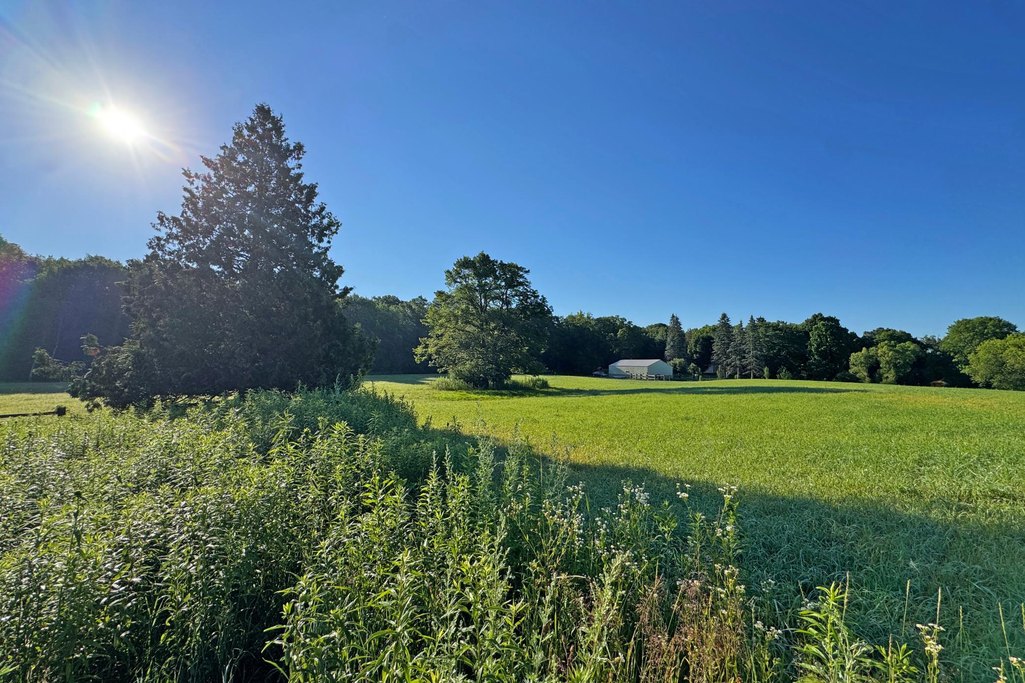 main property photo 54