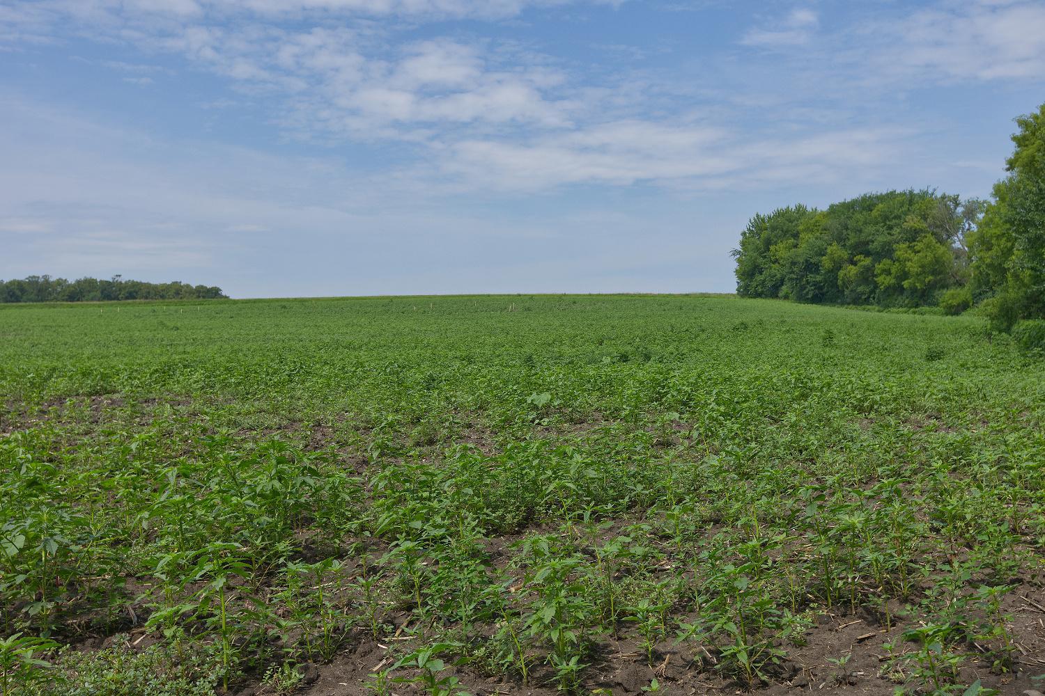 main property photo 9