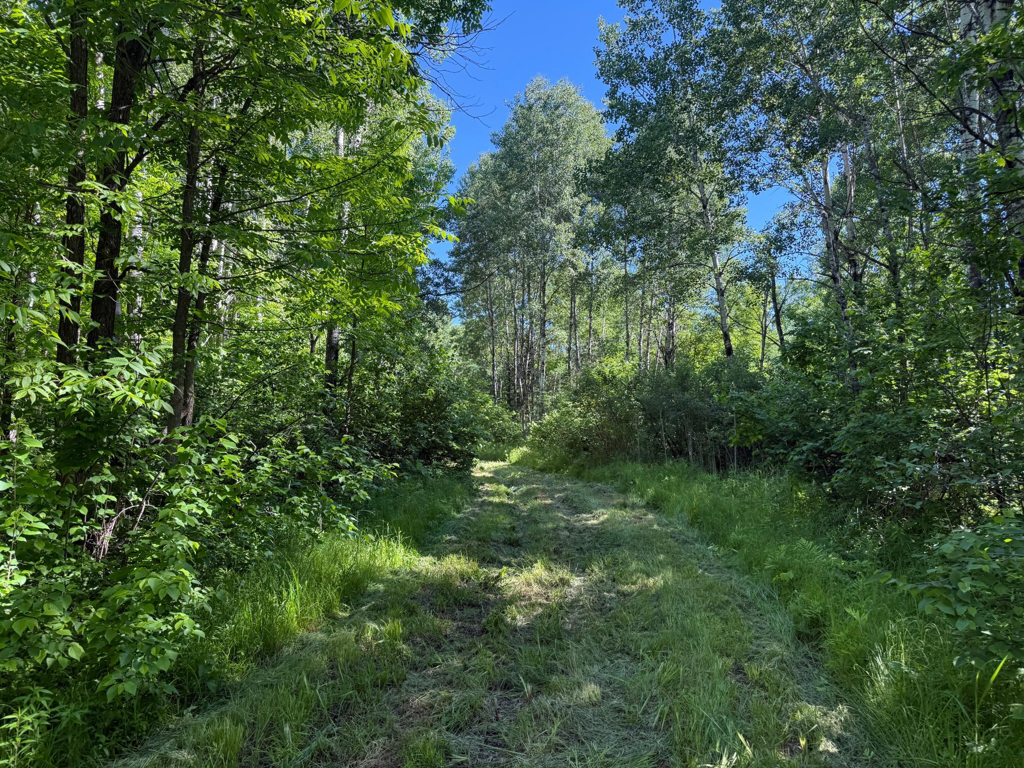 main property photo 25