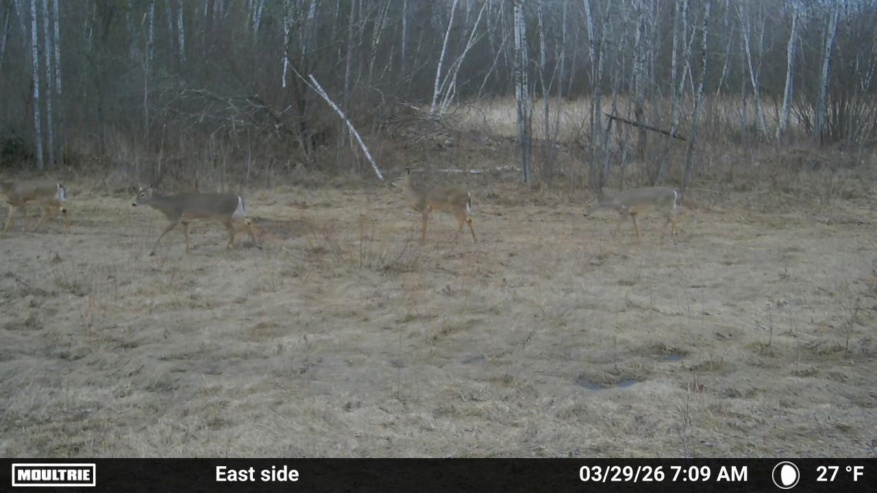main property photo 50