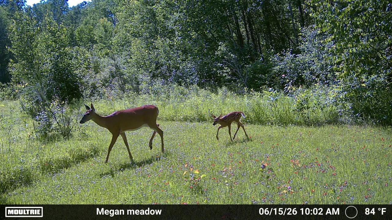 main property photo 56