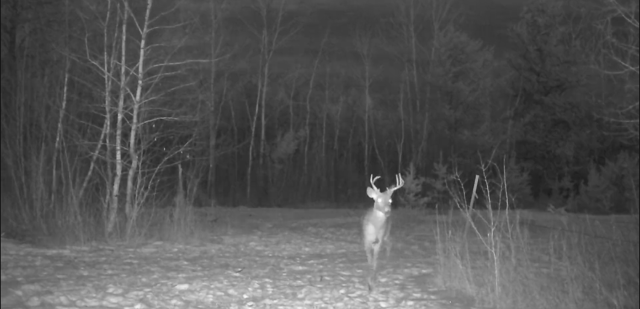 main property photo 59