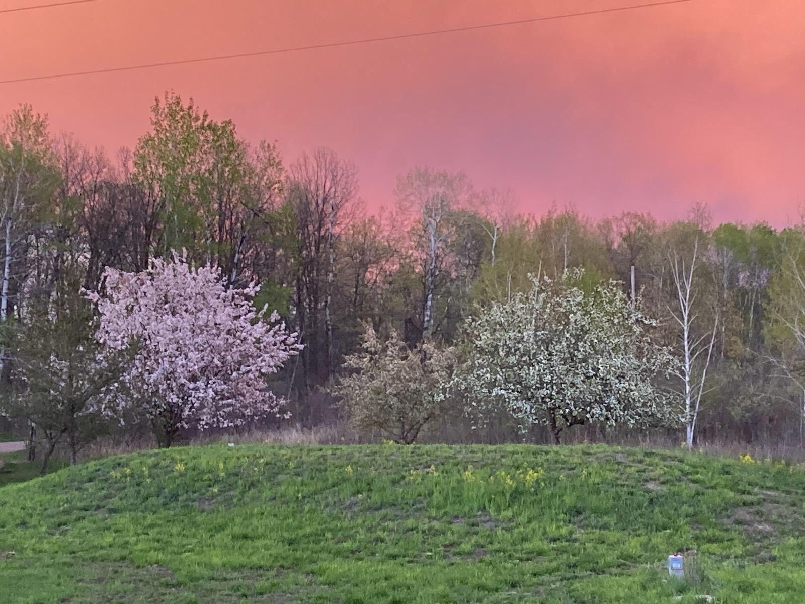 main property photo 65
