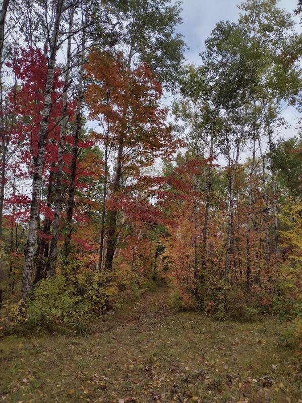 main property photo 68