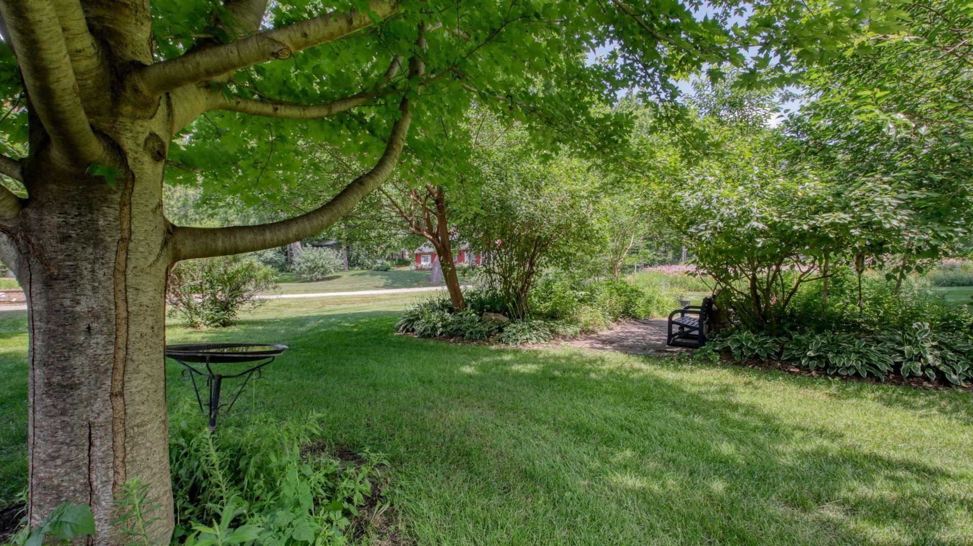 main property photo 61