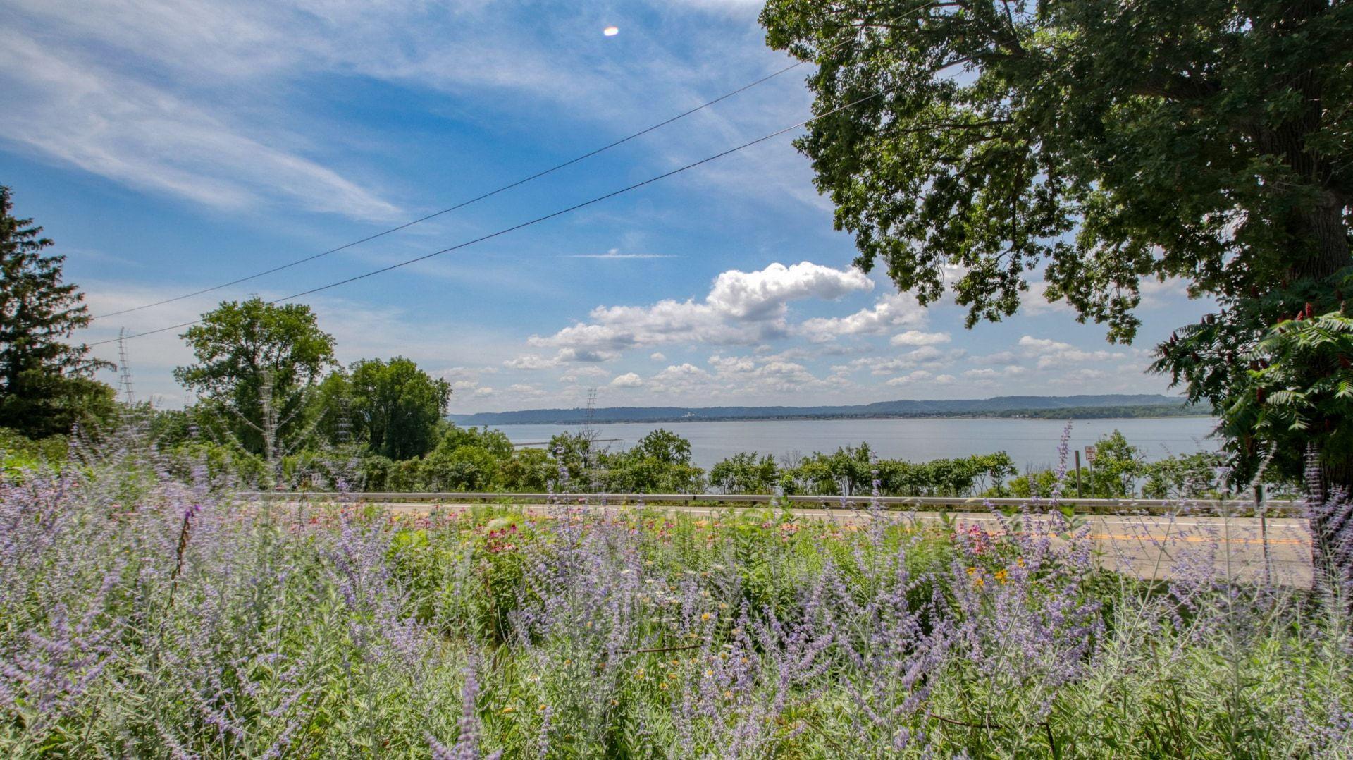 main property photo 74