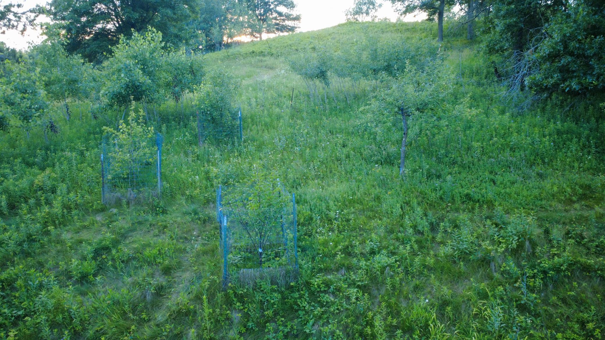 main property photo 61