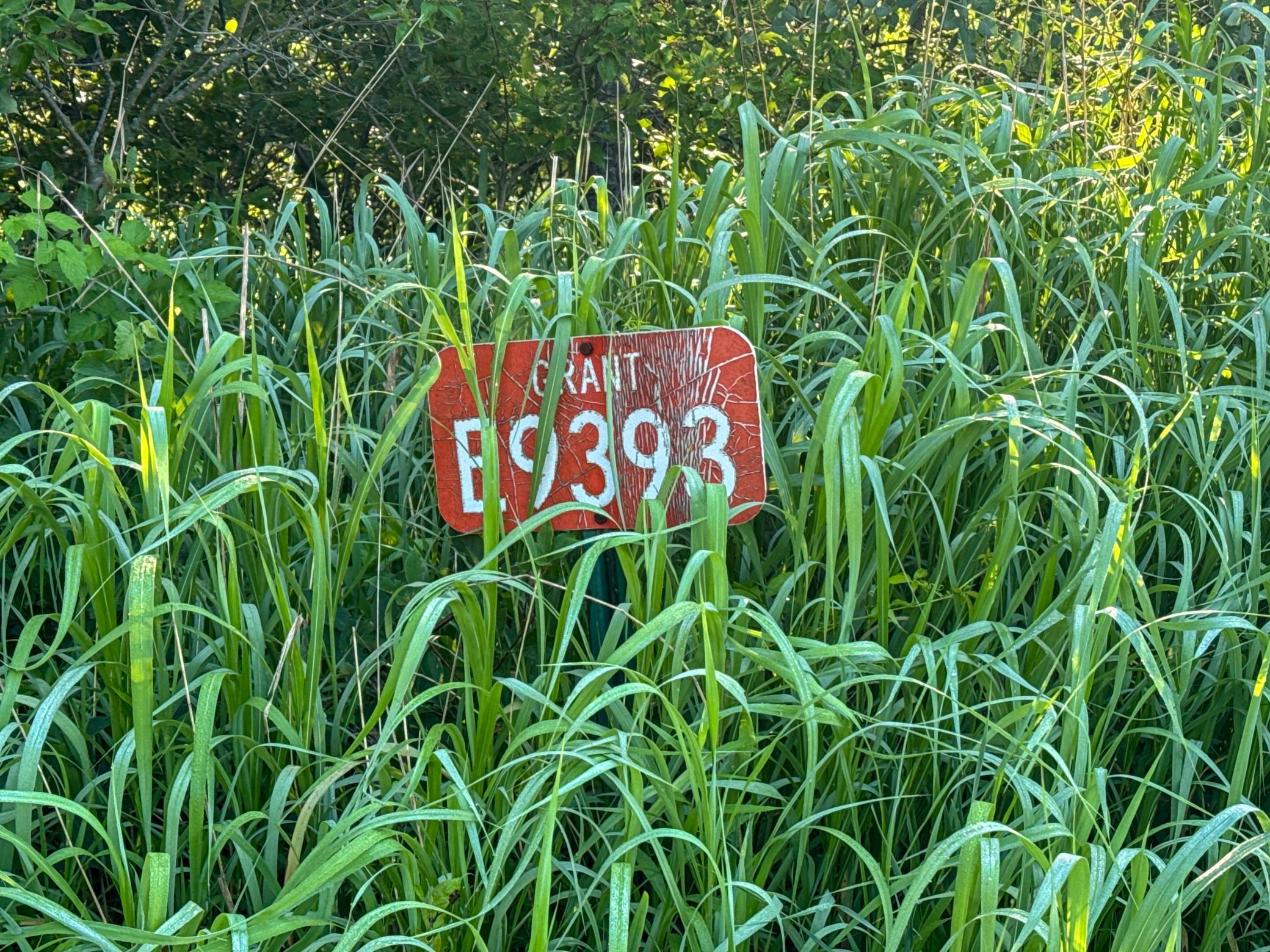 main property photo 65