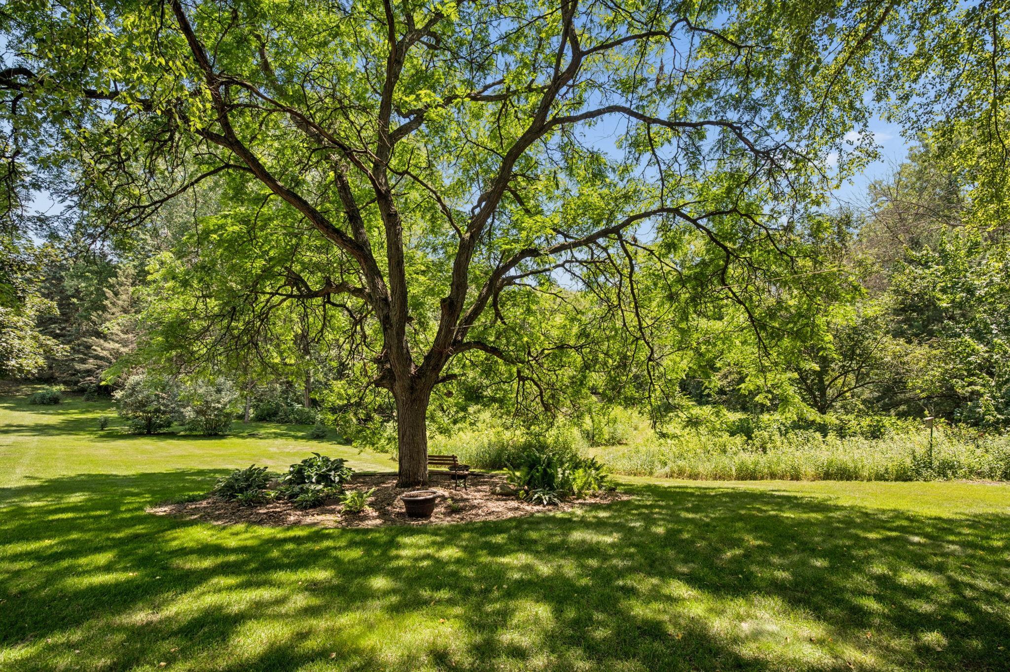 main property photo 69