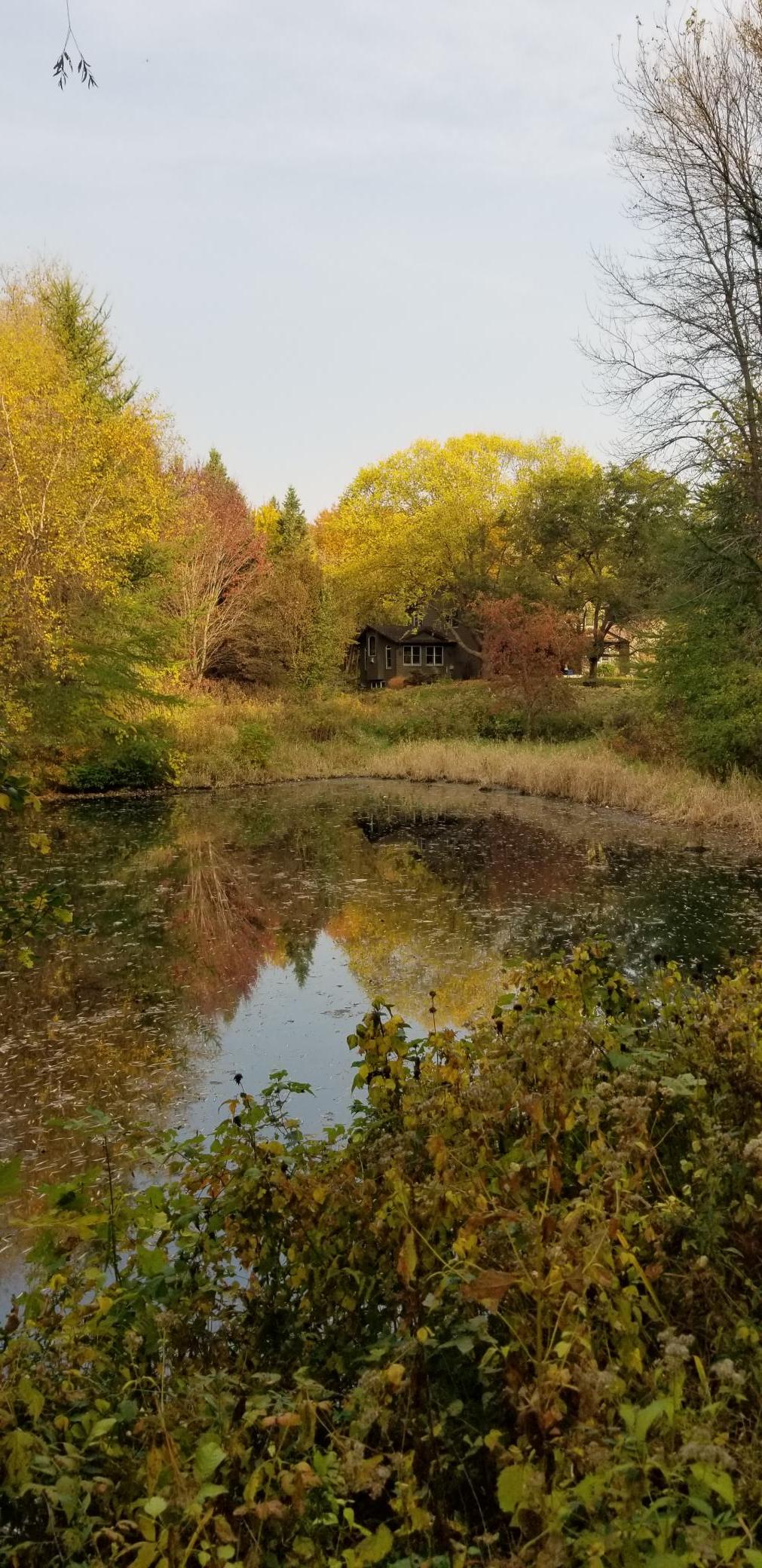 main property photo 82