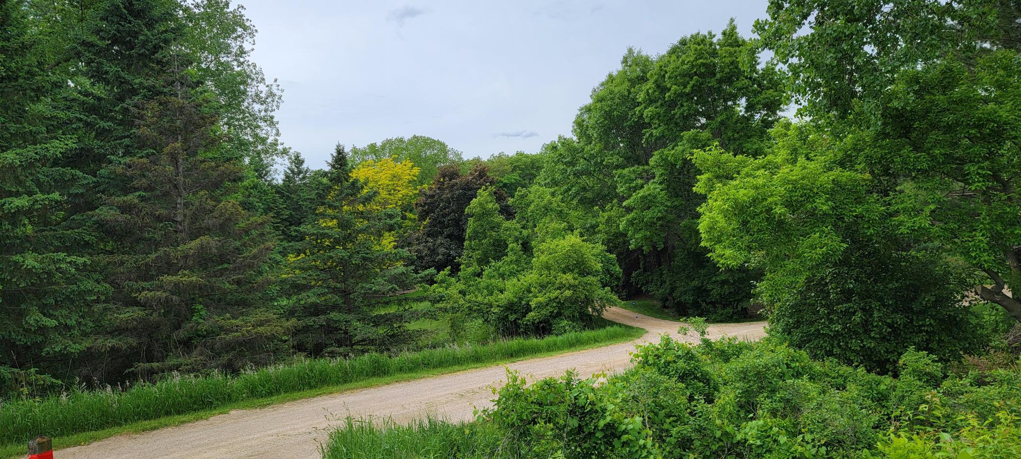 main property photo 92