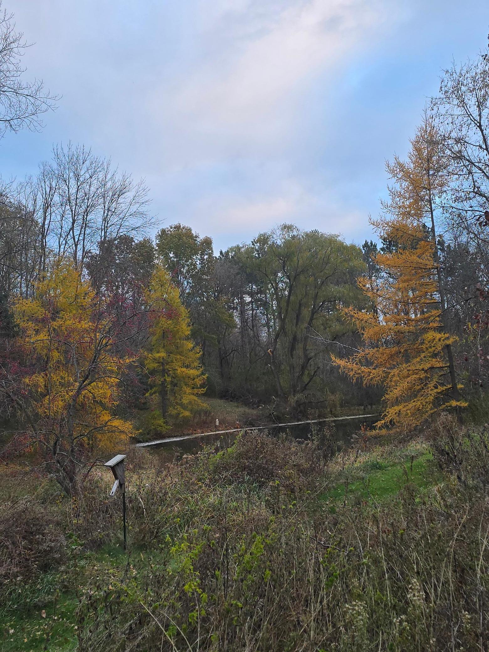 main property photo 95