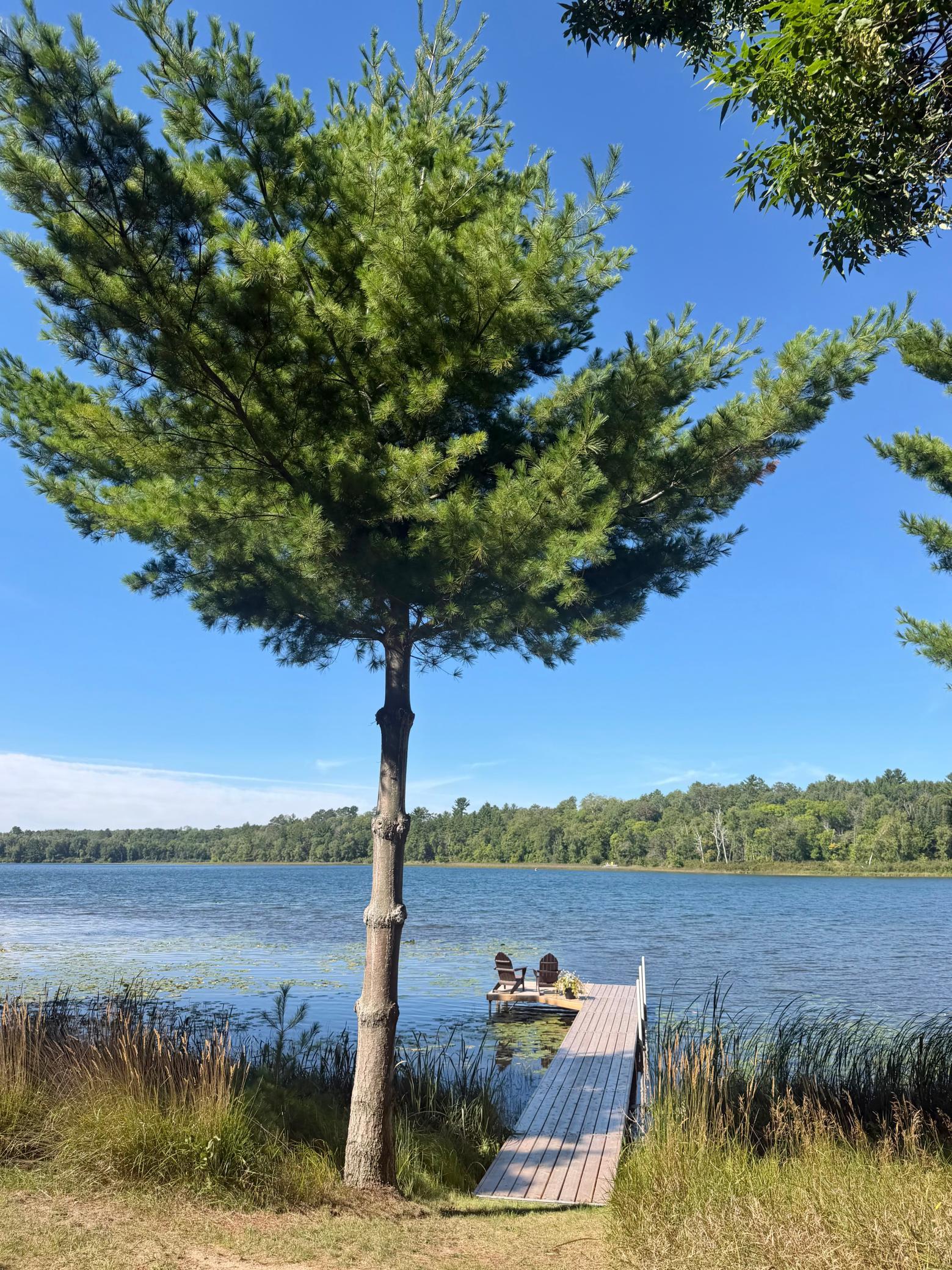 main property photo 60