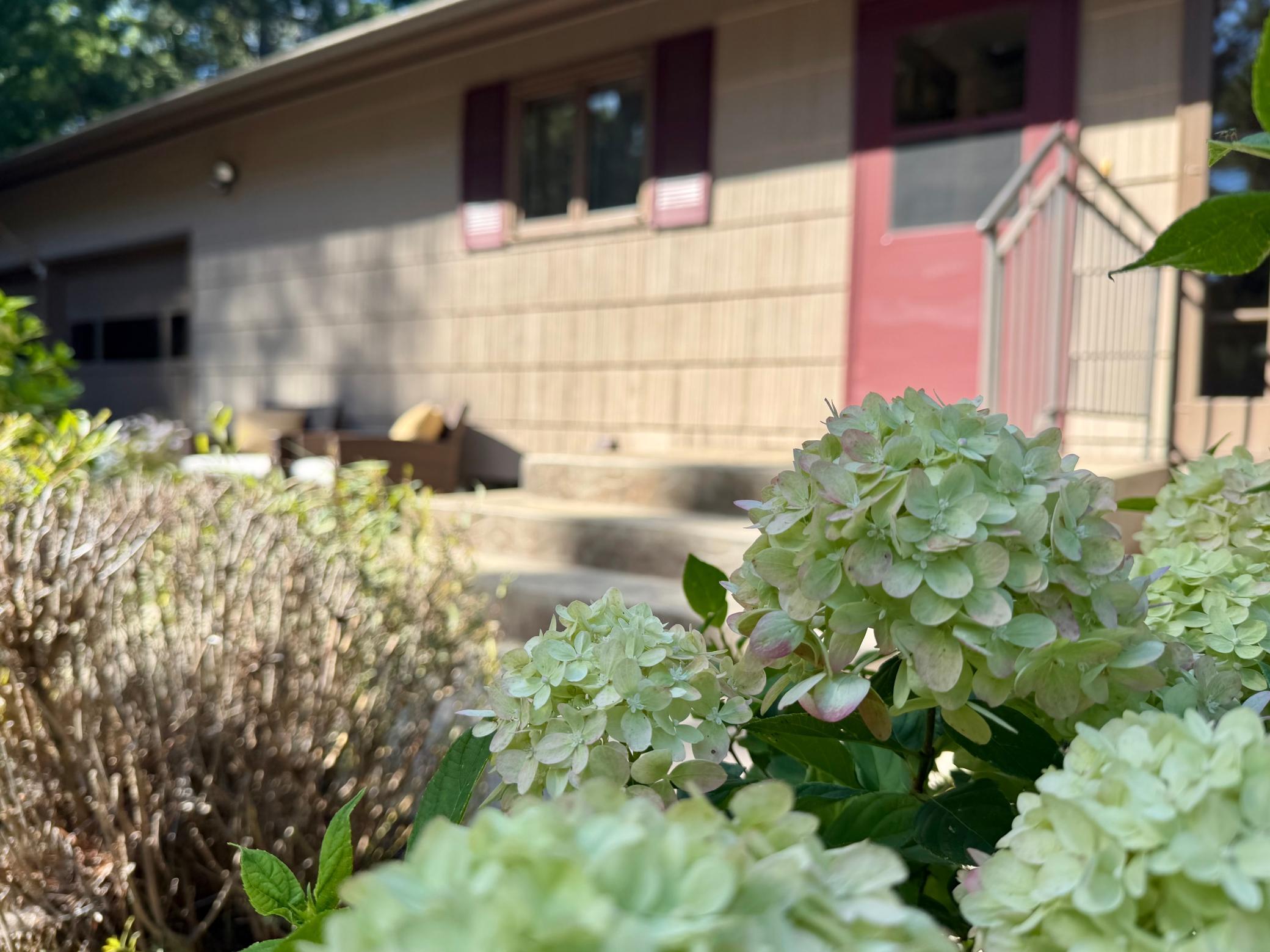 main property photo 74