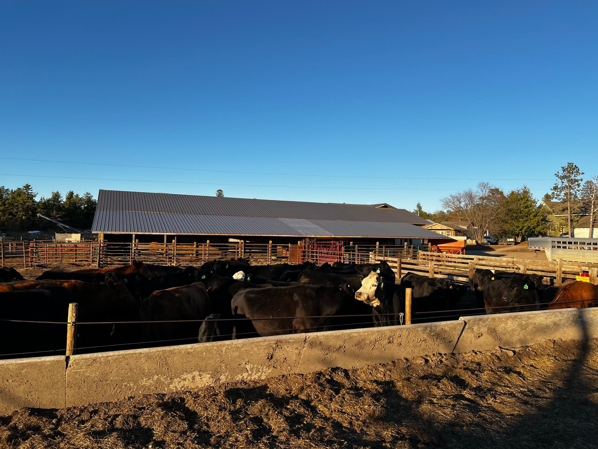 main property photo 22