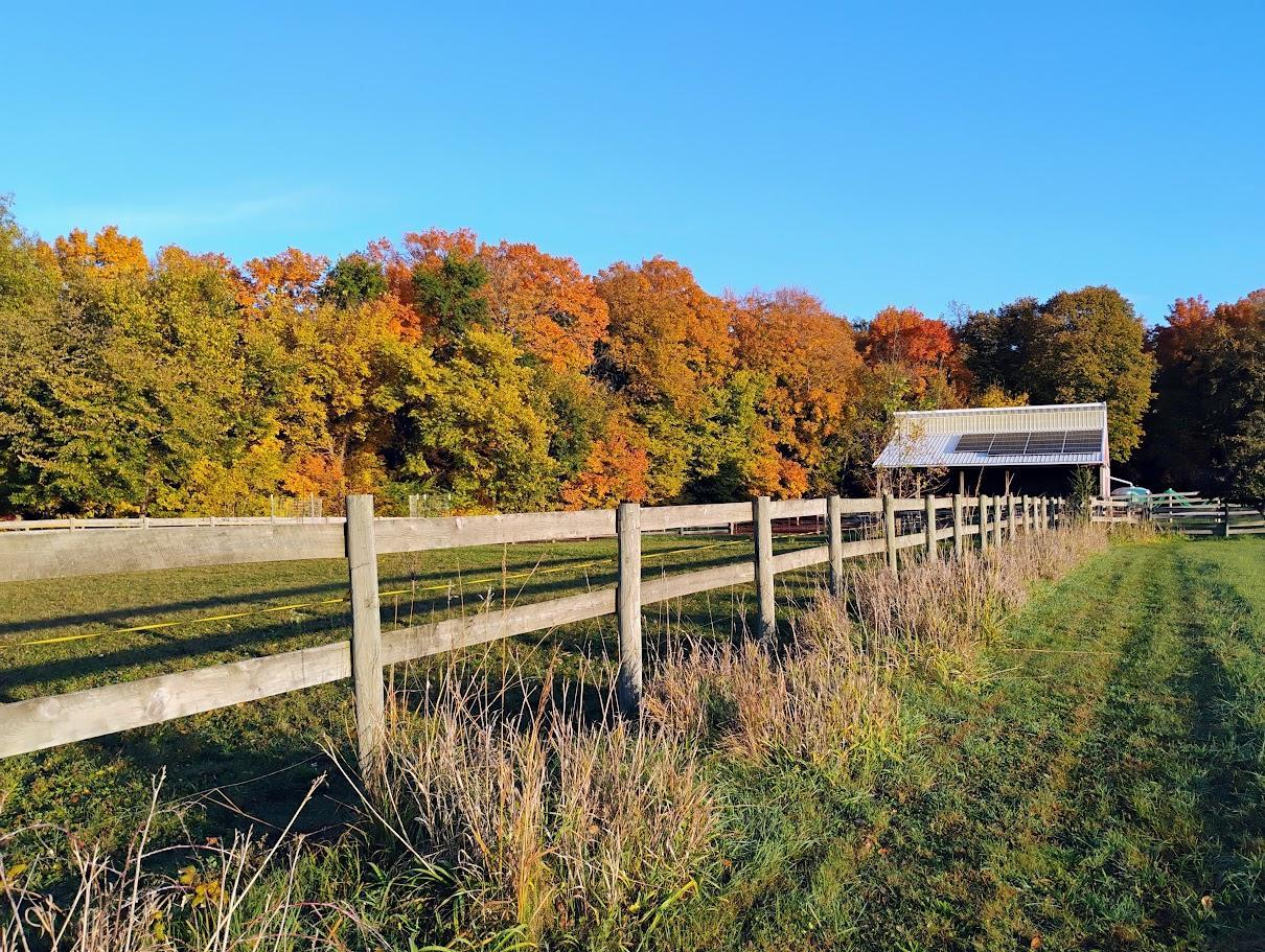 main property photo 109