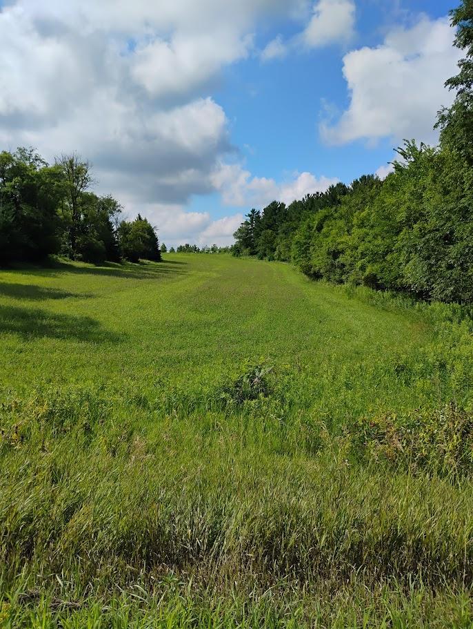 main property photo 114