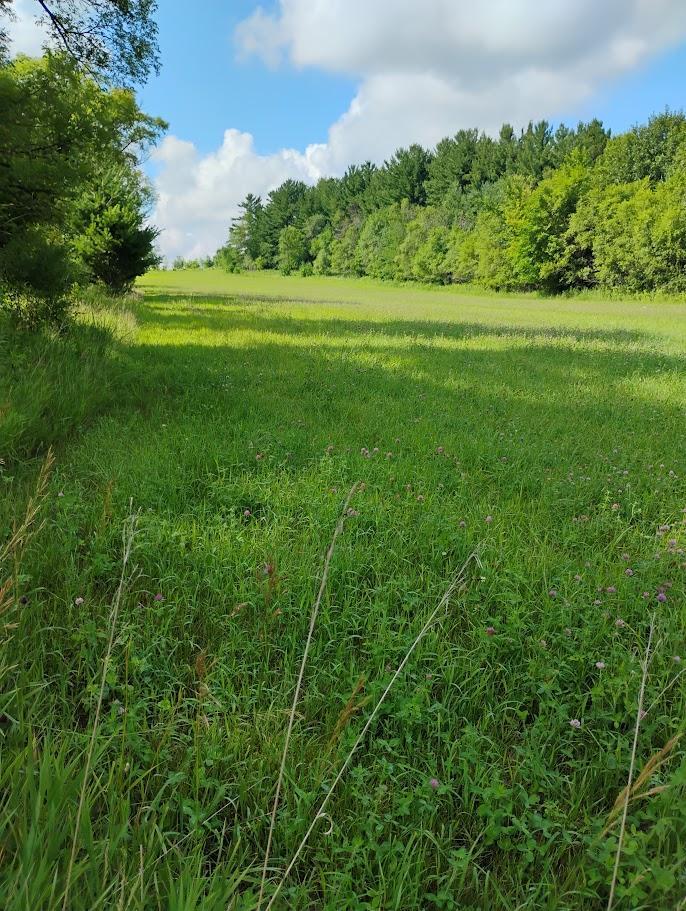 main property photo 115
