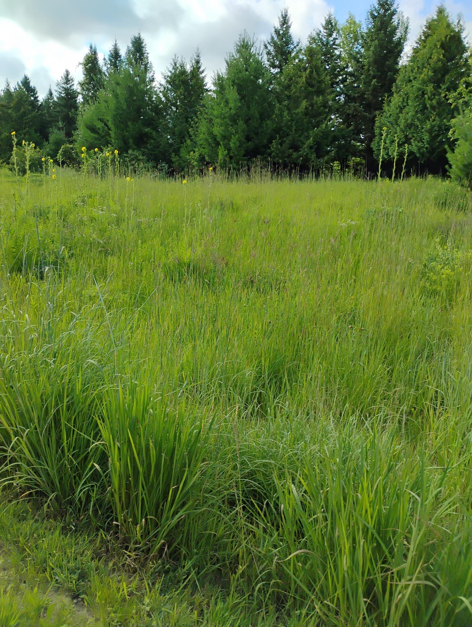 main property photo 119