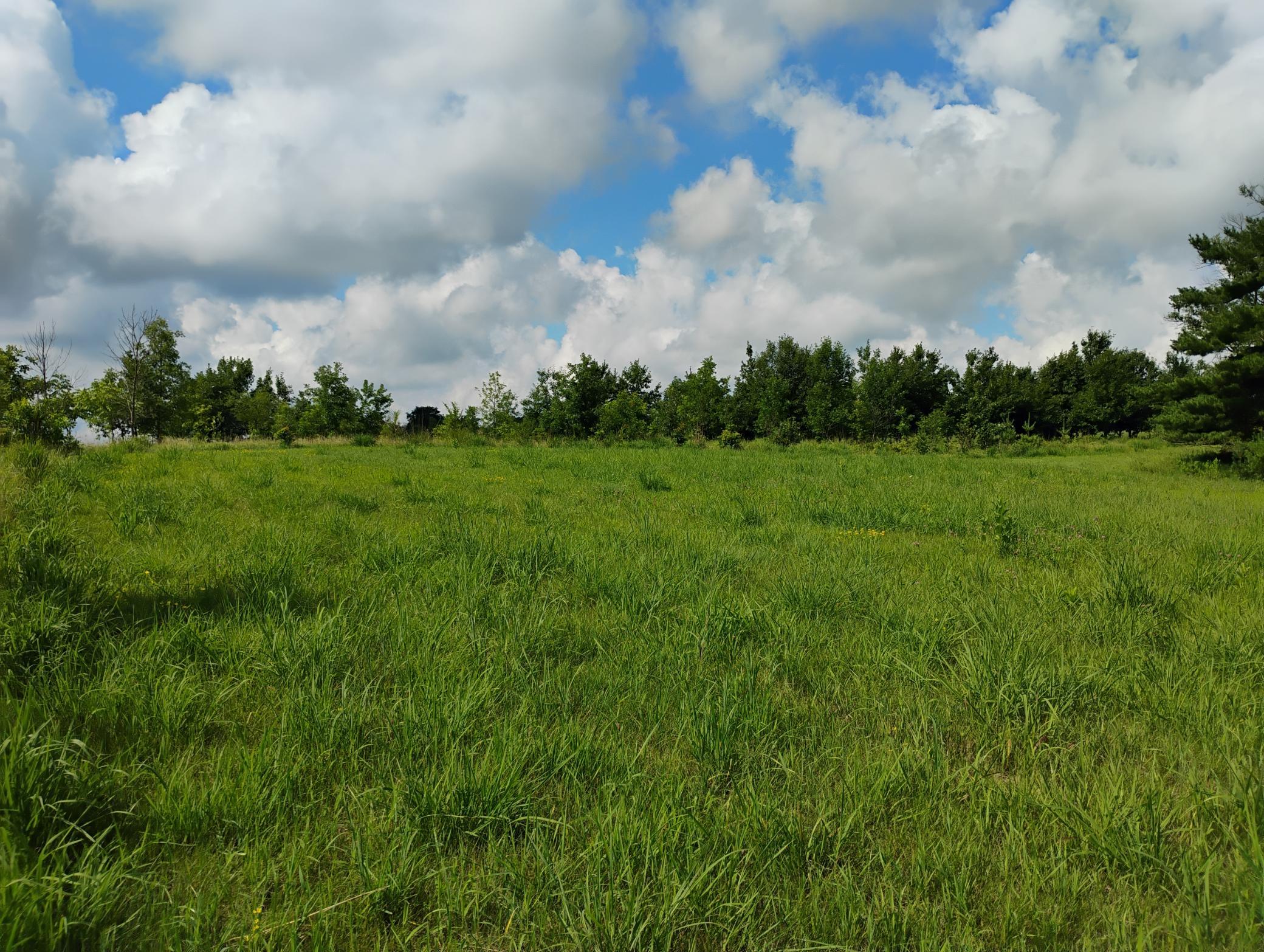 main property photo 120