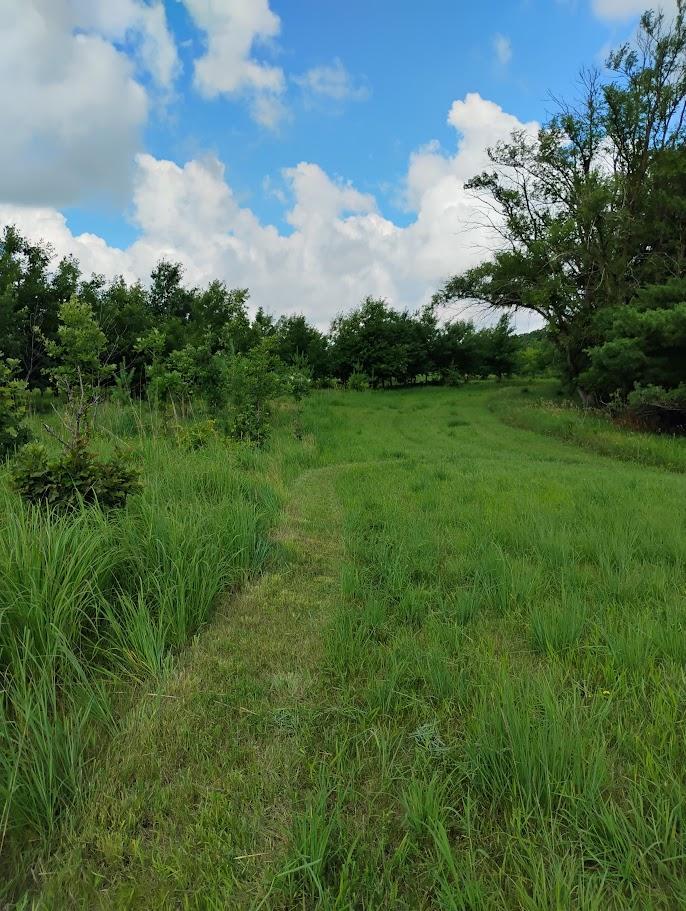 main property photo 121