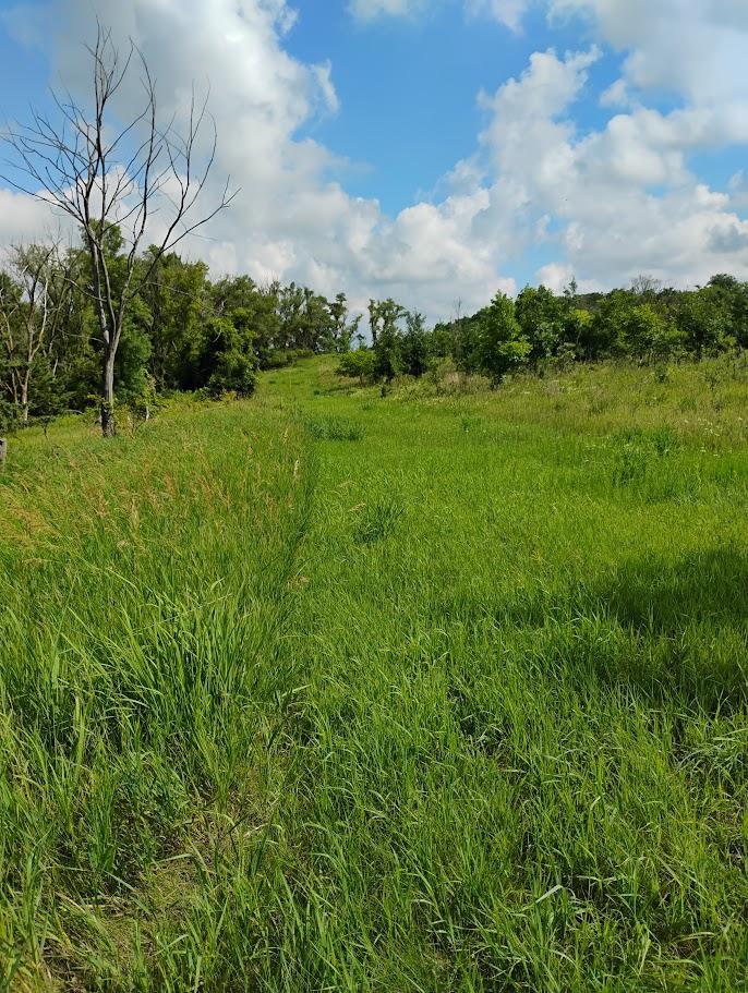 main property photo 122