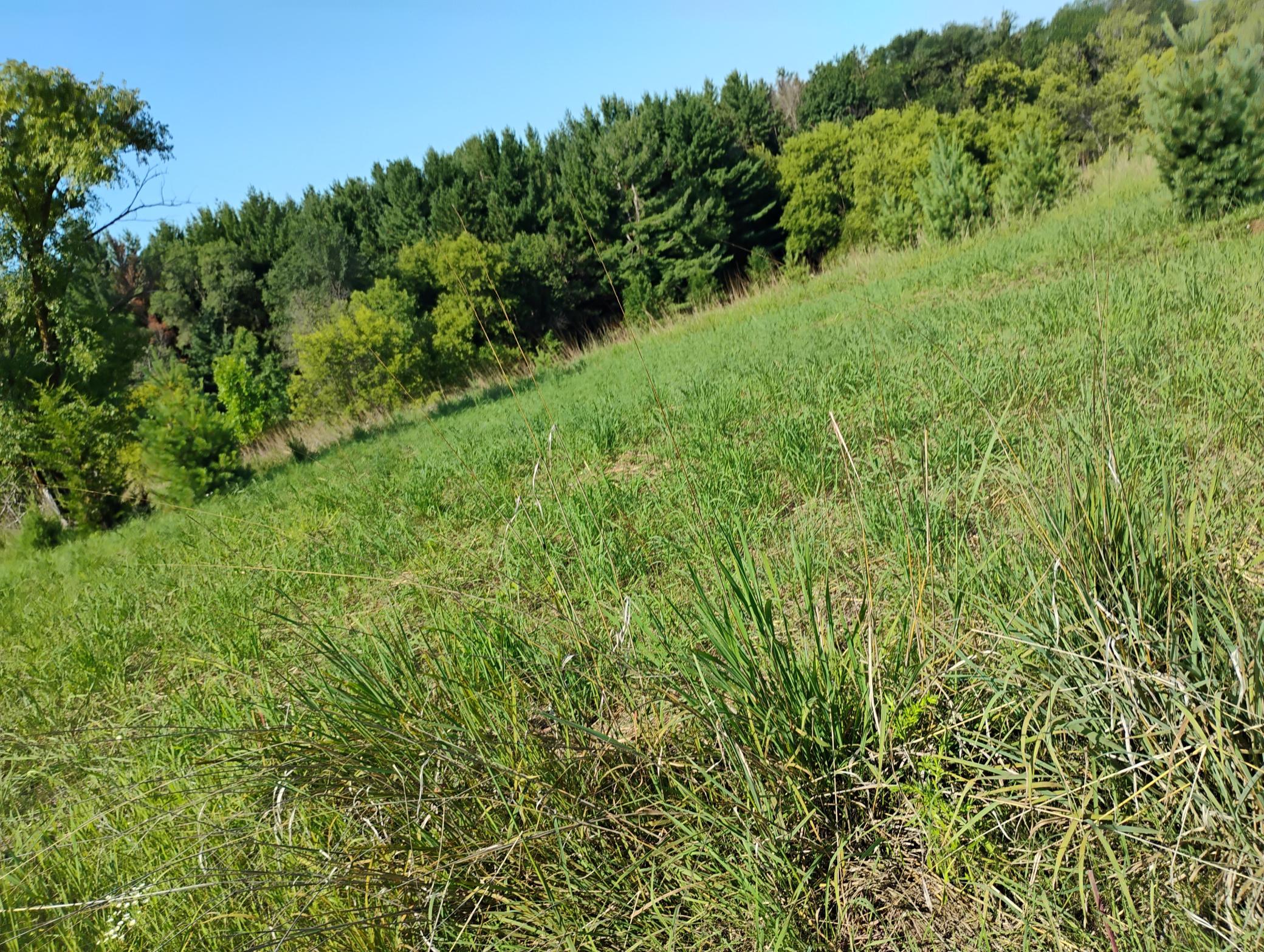 main property photo 125