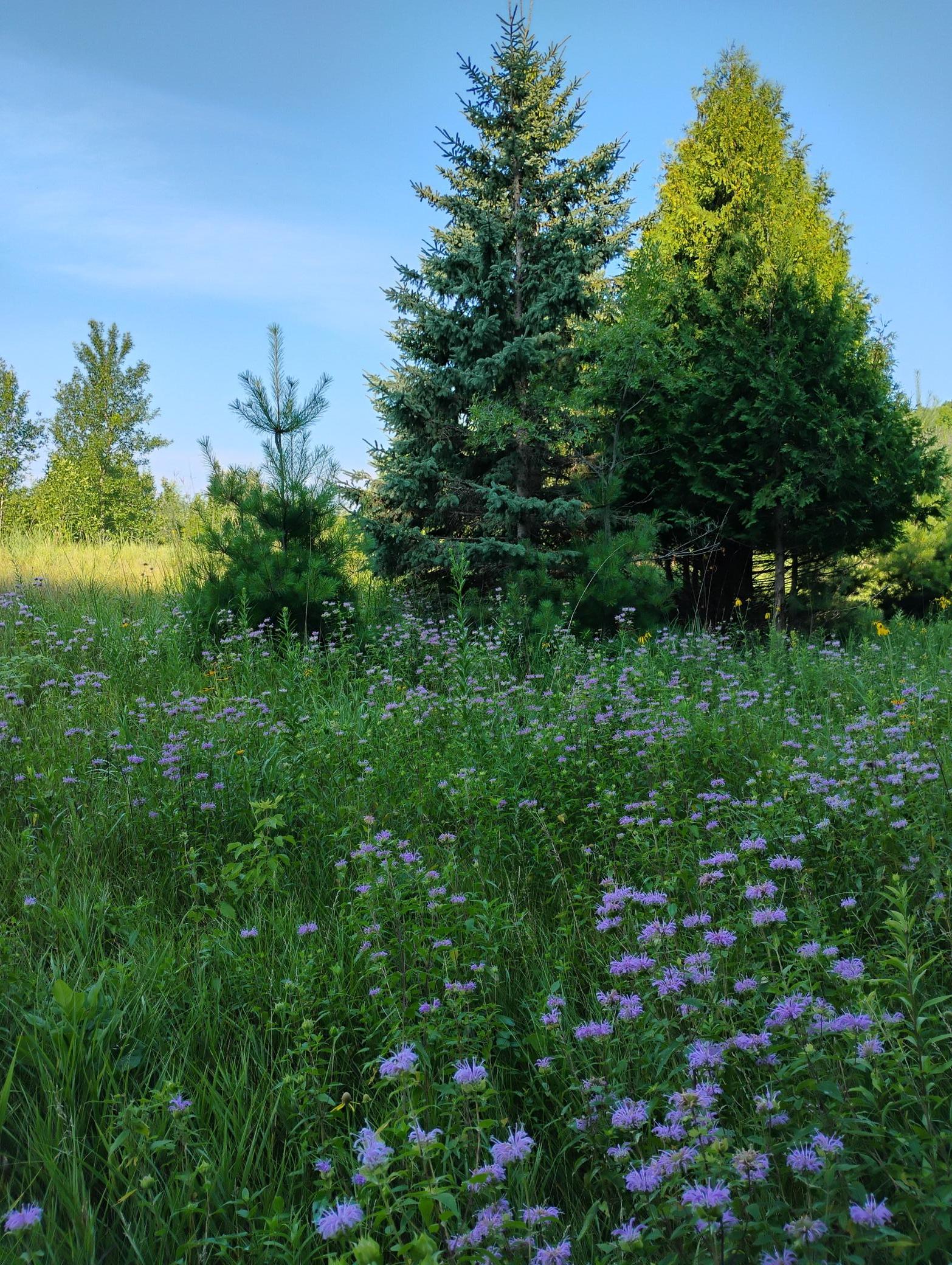 main property photo 127