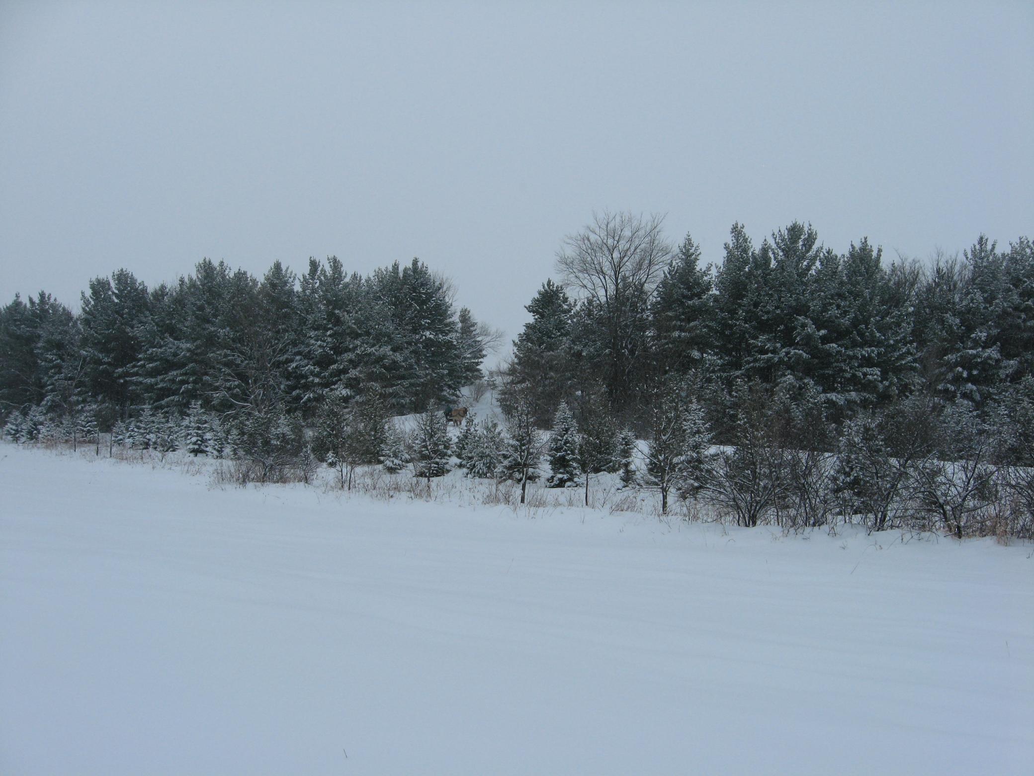 main property photo 129