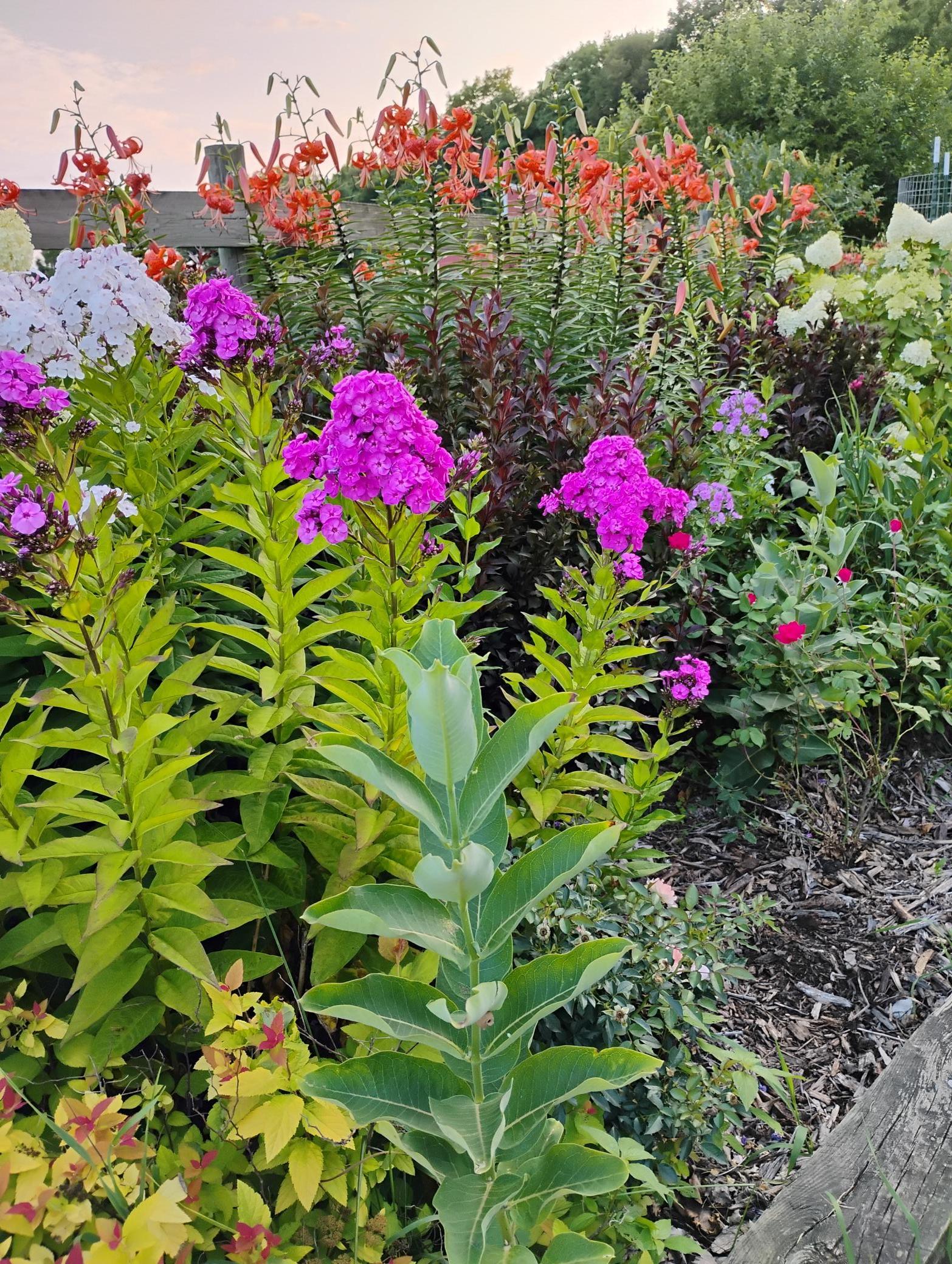 main property photo 95